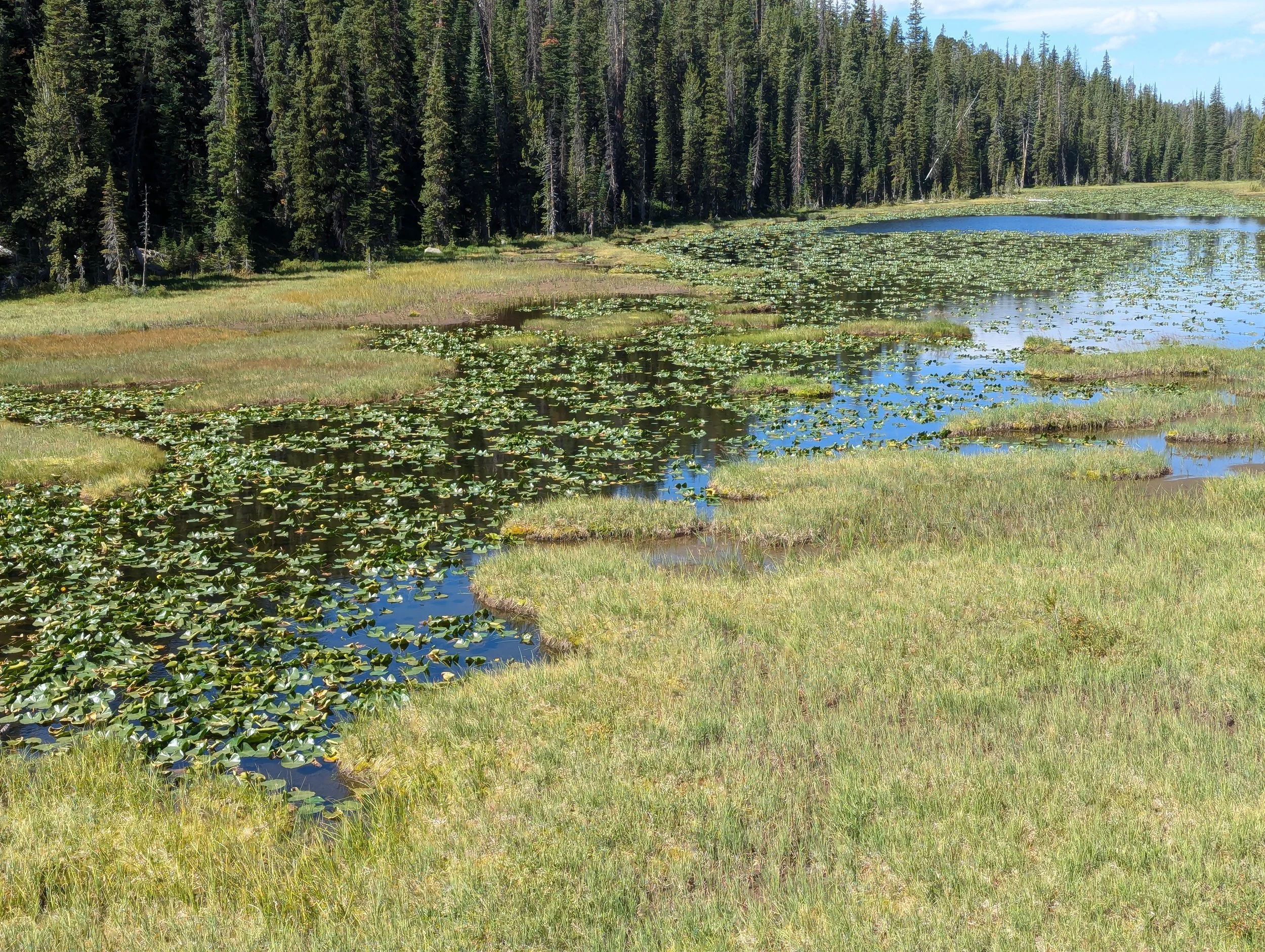 Spaghetti Lake