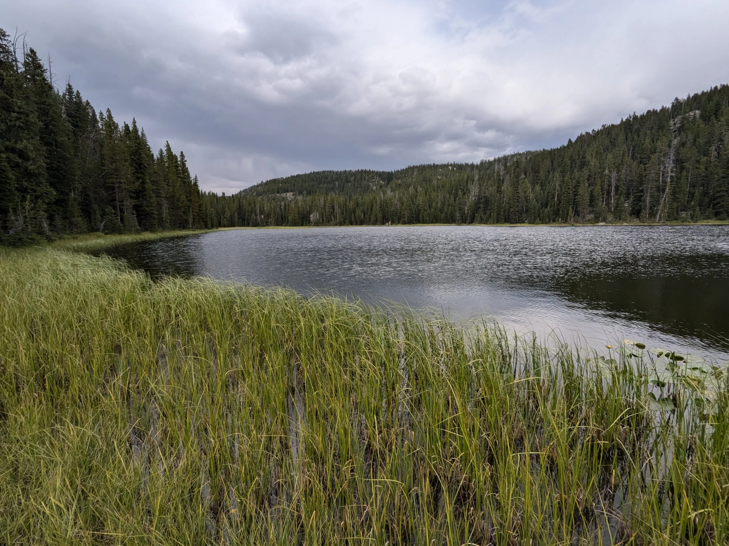 Rush Lake