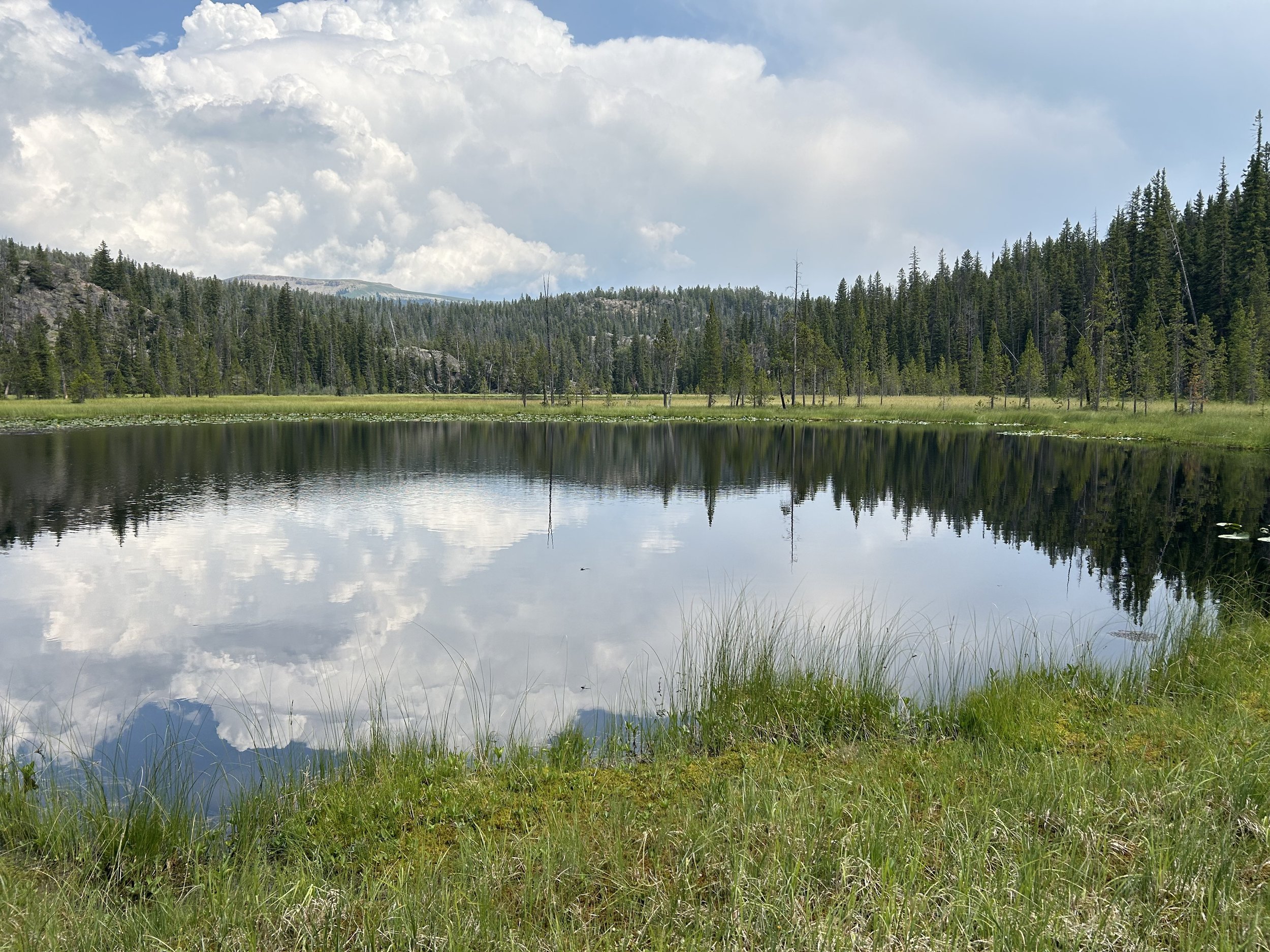 Gander Lake