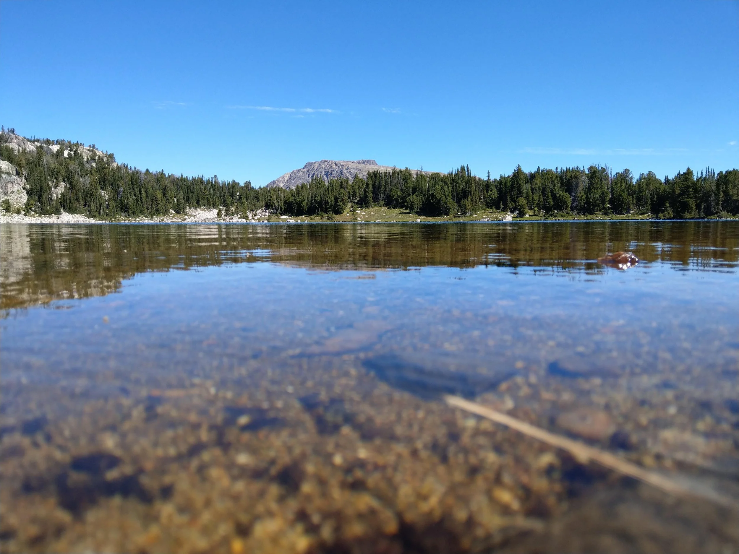 Owl Lake