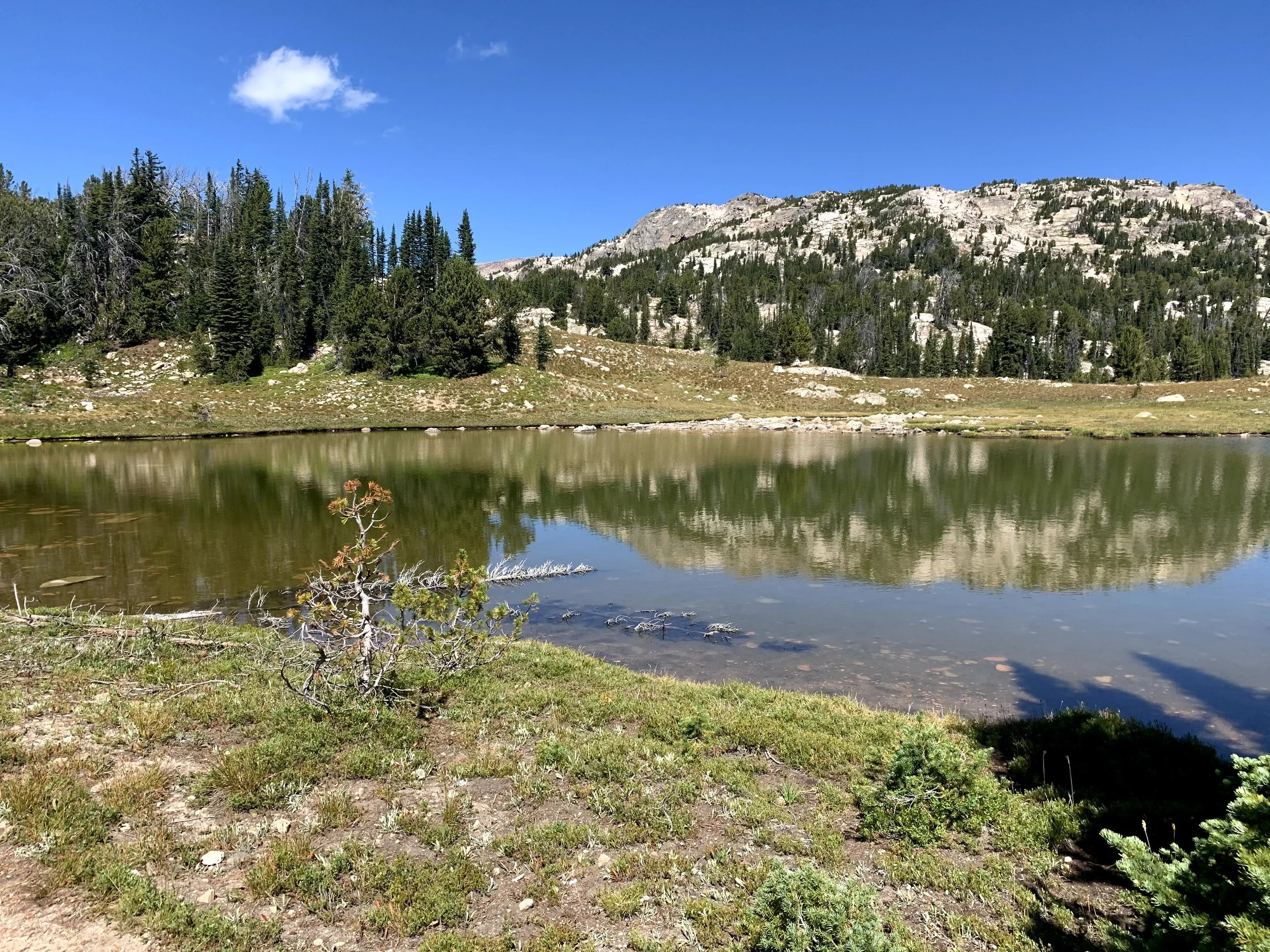 Pipit Lake