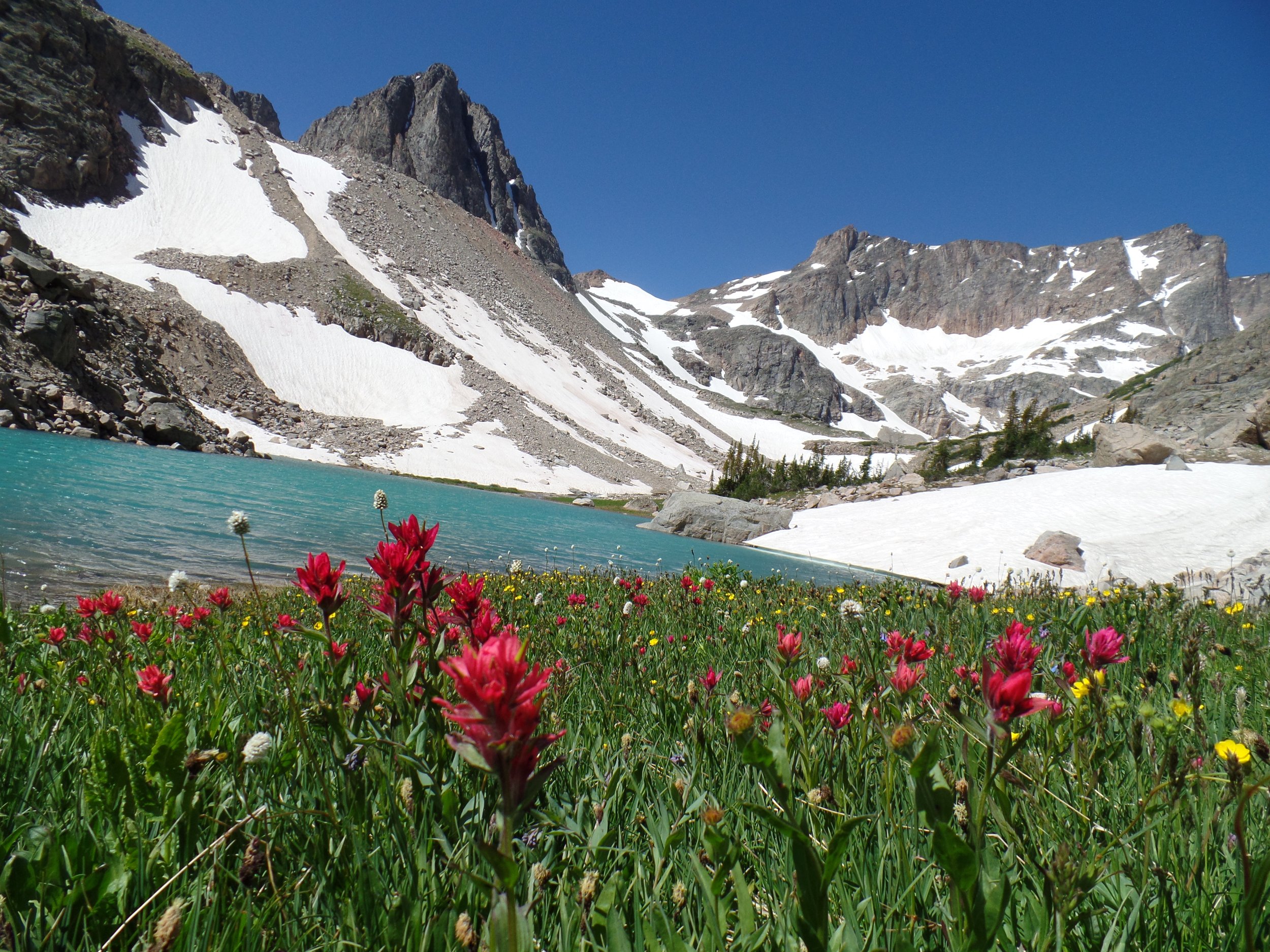 Alpine landscape with turquoise lake, snow-covered mountains, and vibrant wildflowers in foreground under a clear blue sky.