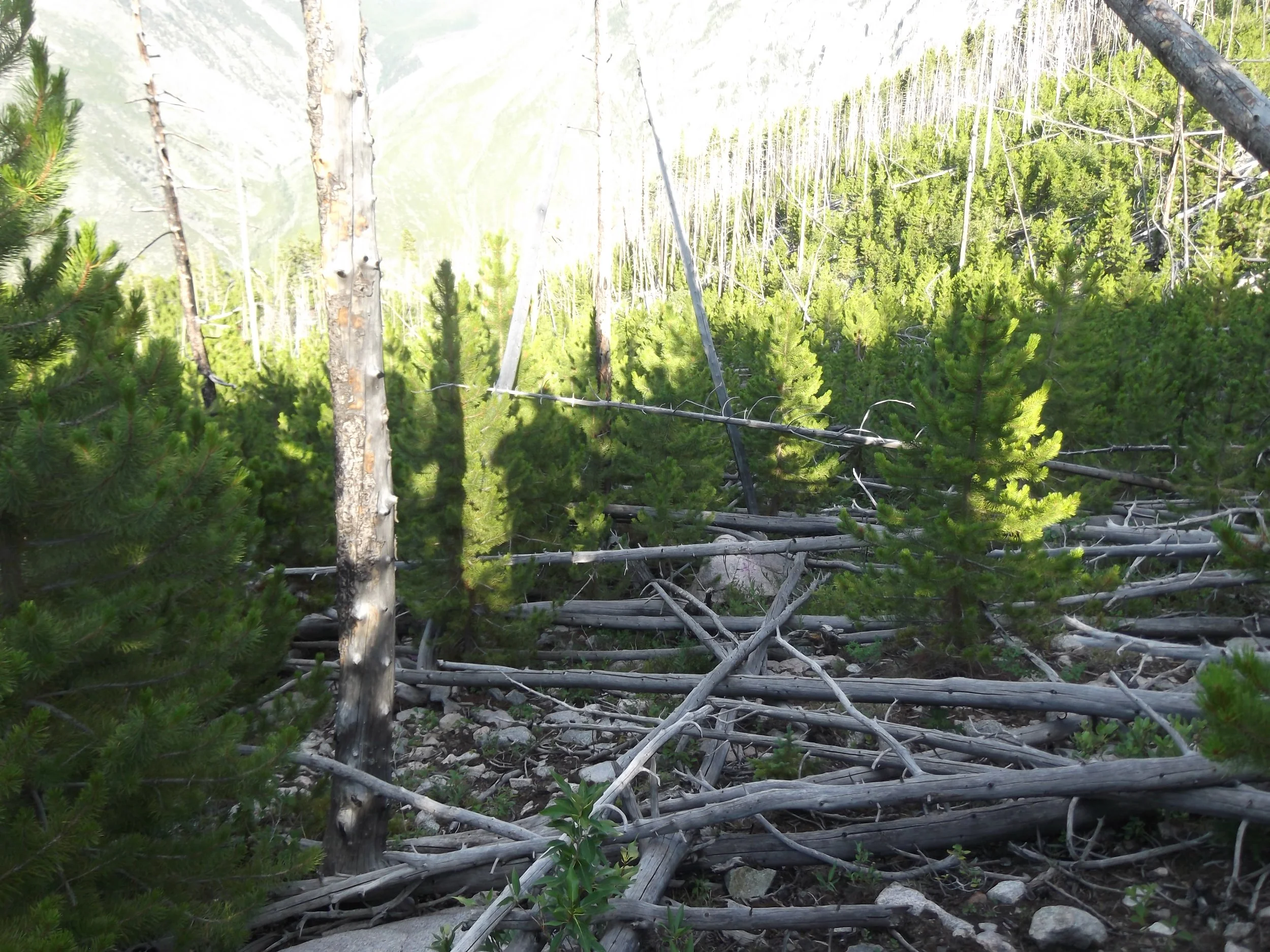 DSCF2765.JPG