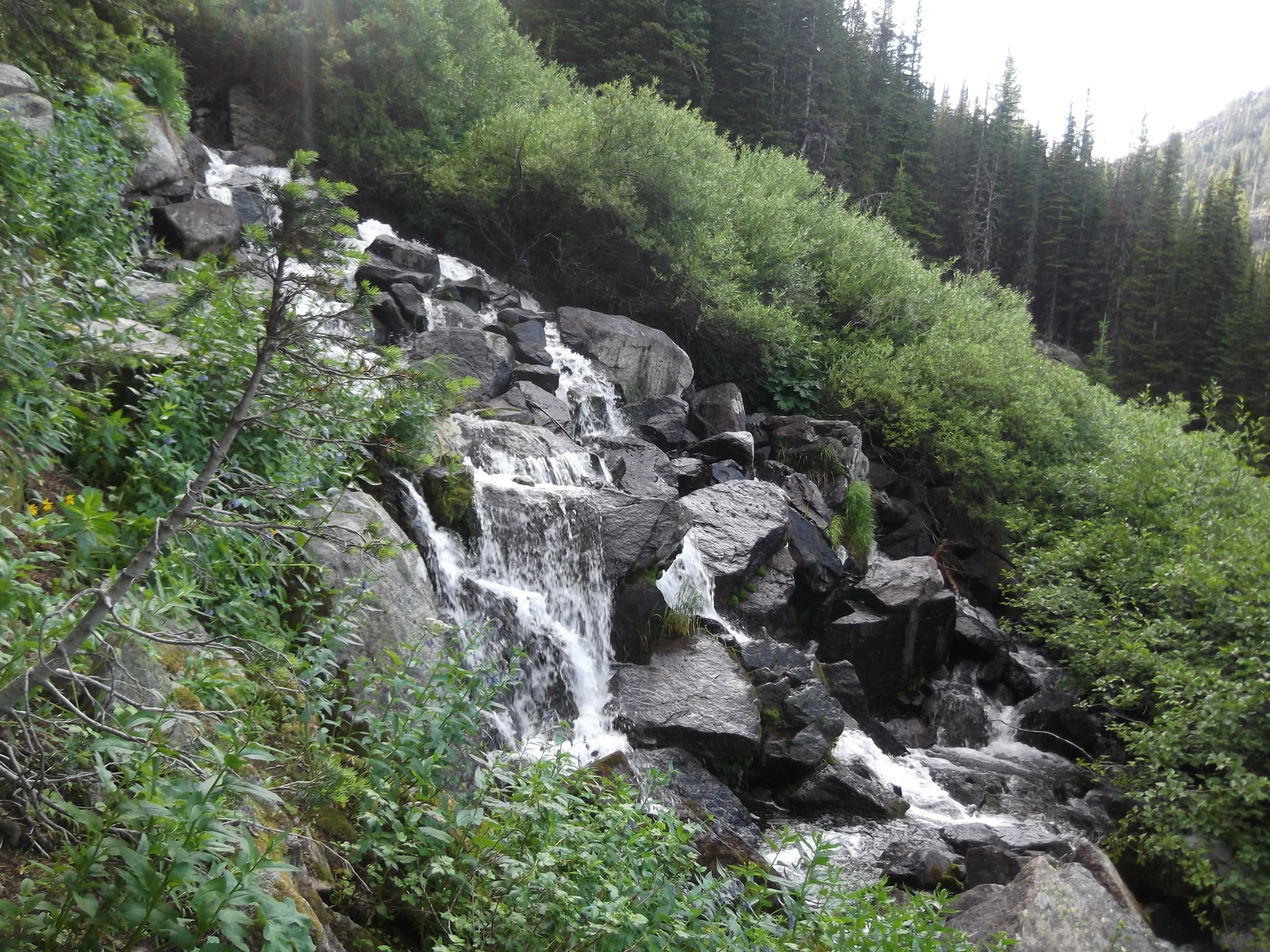 DSCF2763.JPG