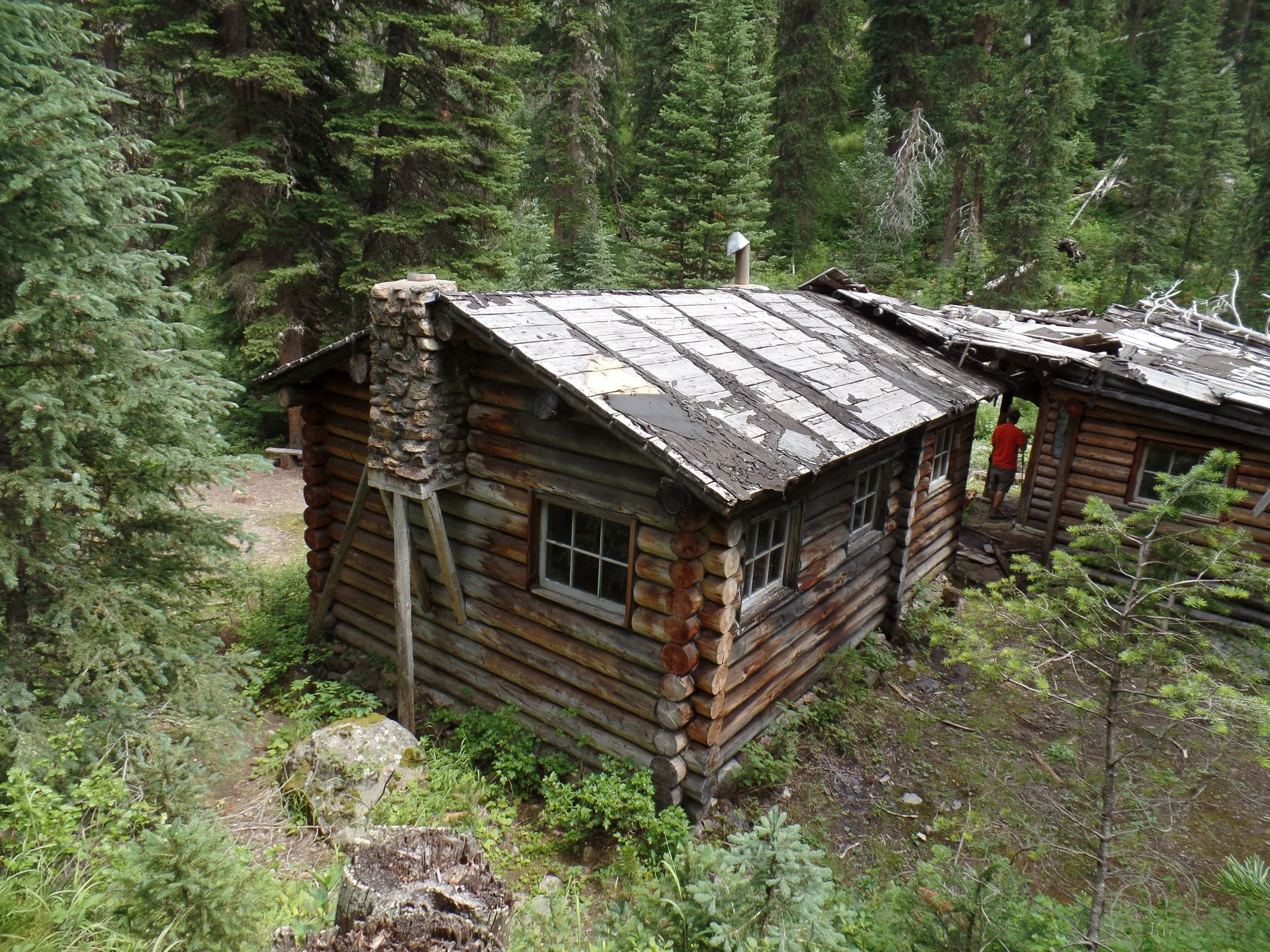 Log cabin in a forest with weathered roof, surrounded by pine trees.