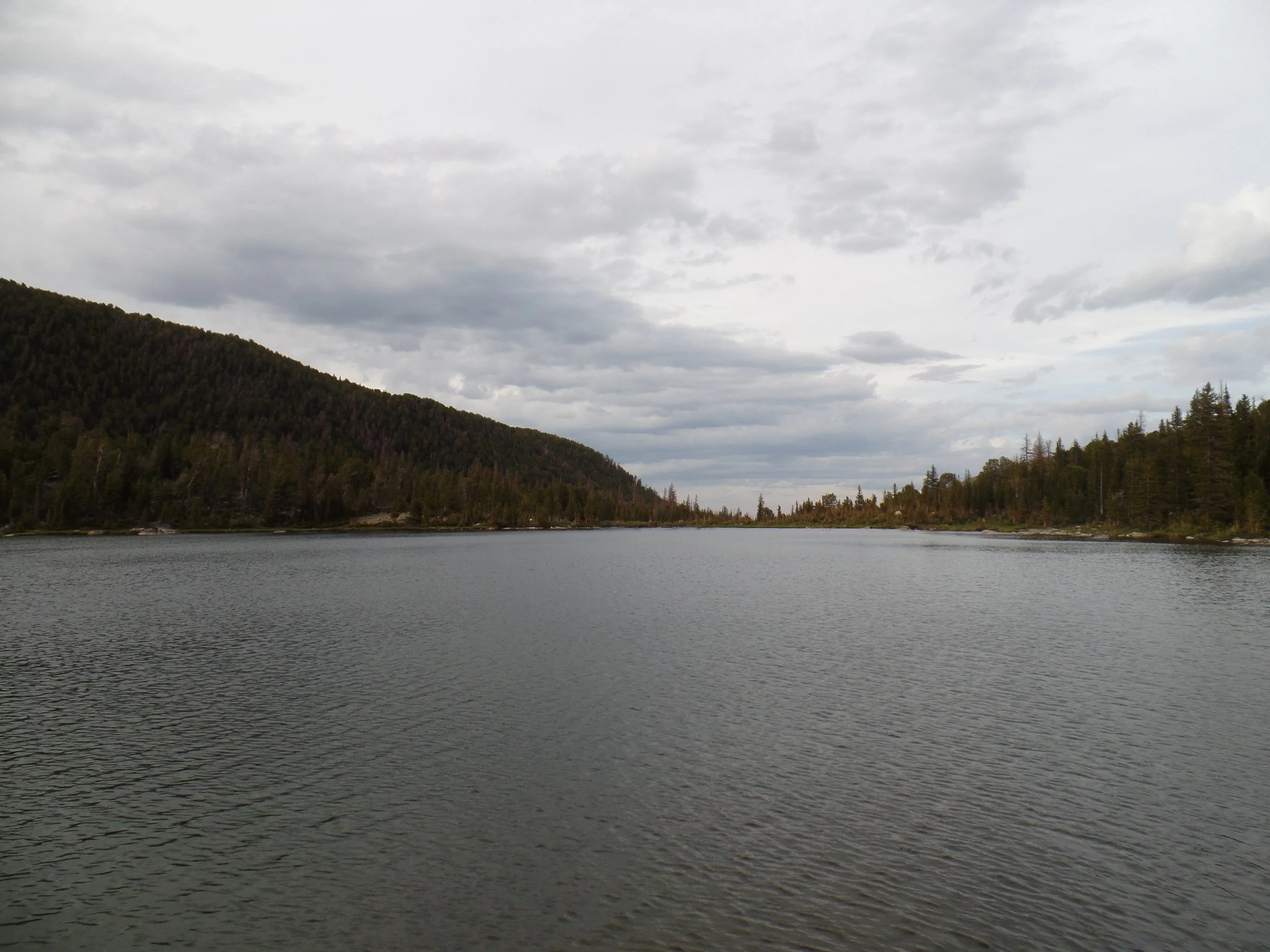 Lake with forested shoreline and cloudy sky