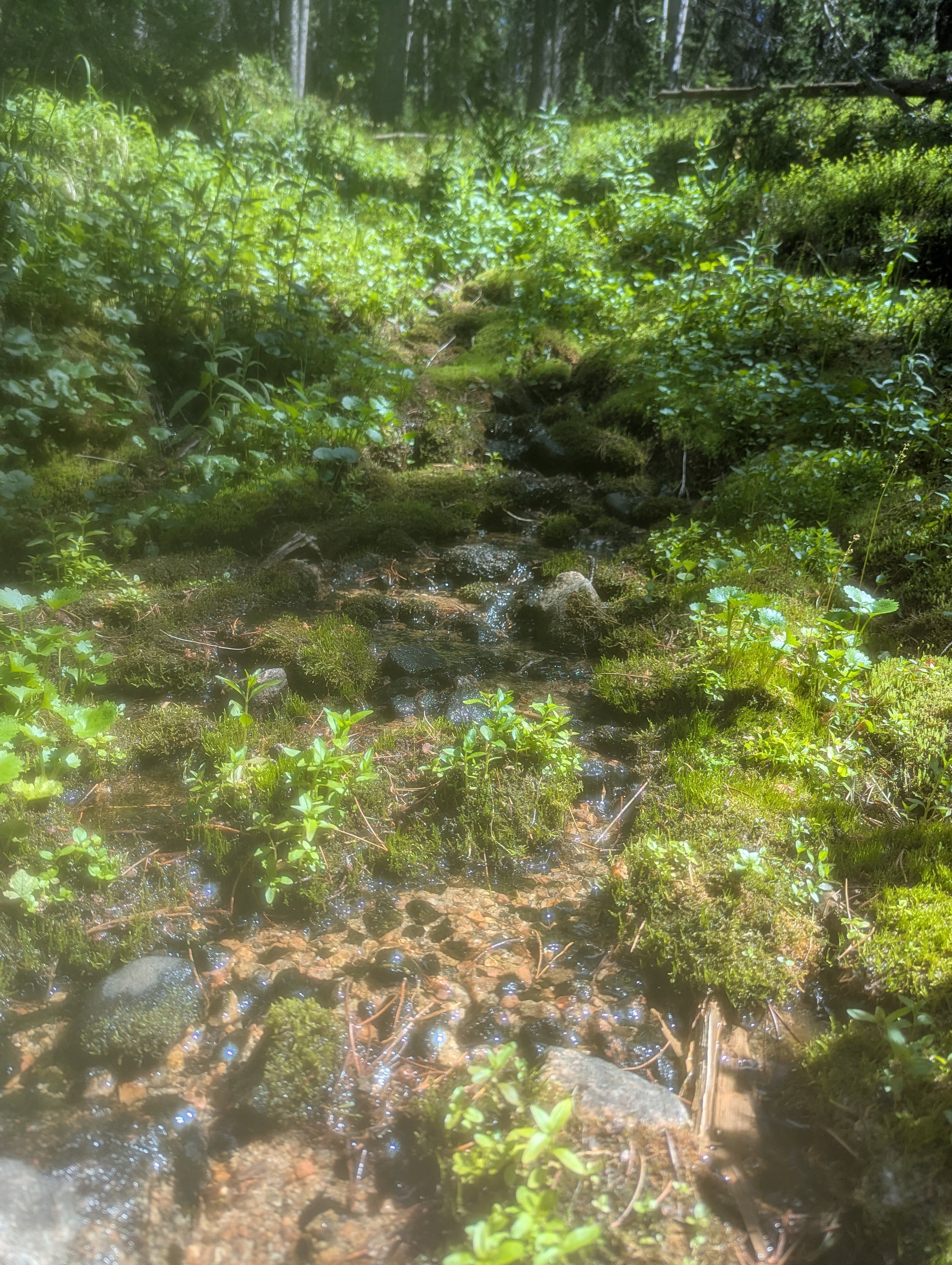 PXL_20260711_213200998.jpg