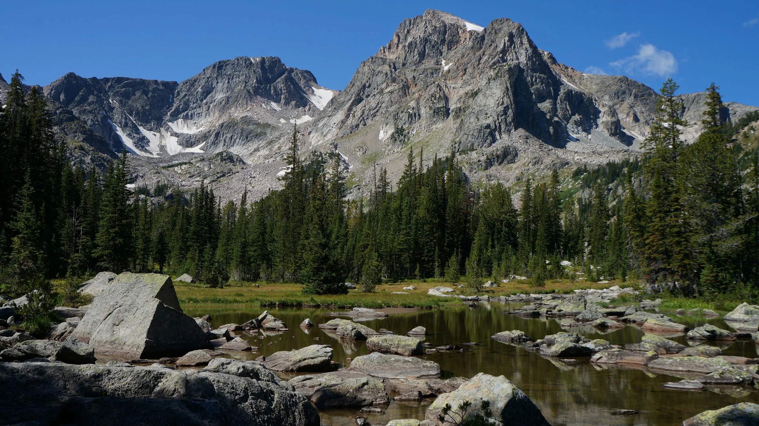 Mountain landscape with rocky peaks, pine forest, and a small lake in the foreground under a clear blue sky.