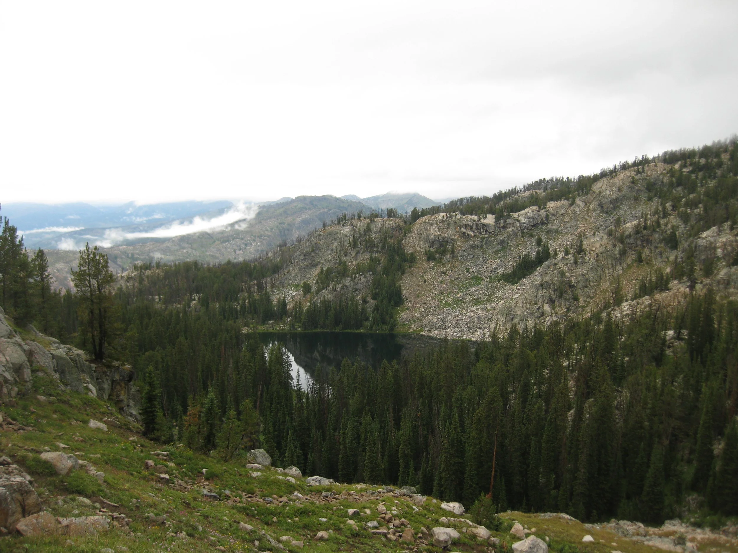 Mountain landscape with forest and lake
