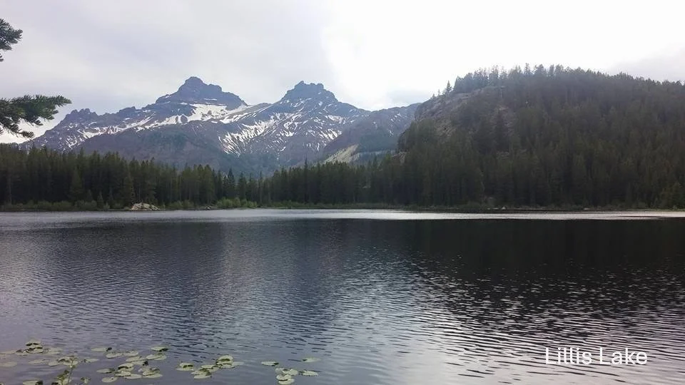 Mountain landscape with pine trees and a calm lake under cloudy skies.