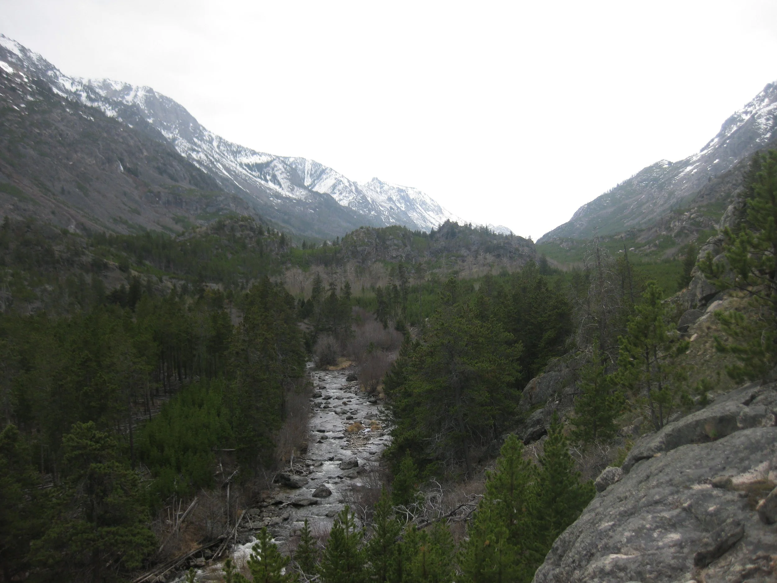 Mountain landscape with a forest and a rocky stream, surrounded by snow-capped peaks and green hills.