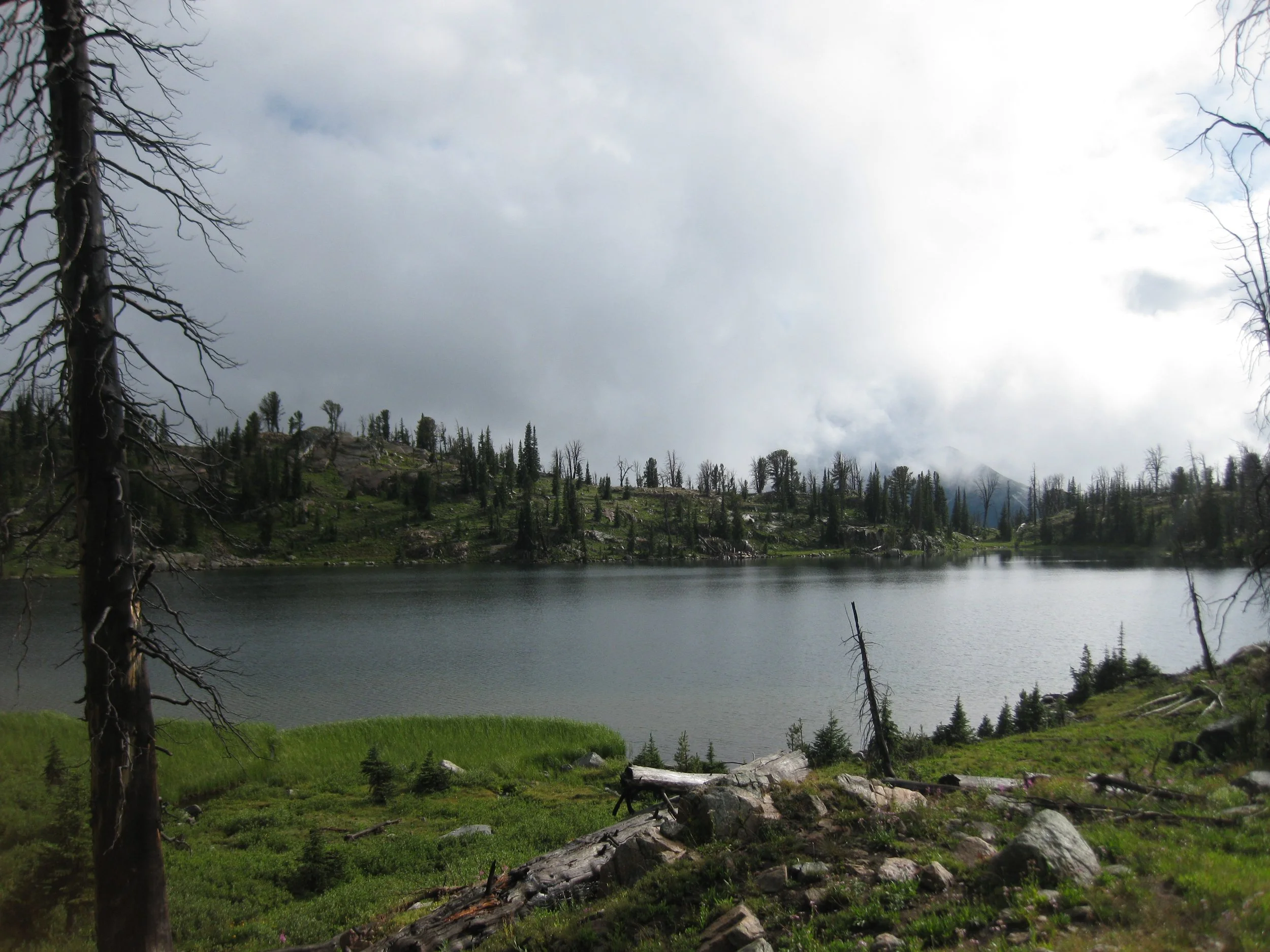 A serene lake surrounded by evergreen trees and rocky terrain under a cloudy sky. The landscape features grassy areas and some fallen logs, giving a natural and untouched feel to the scene.