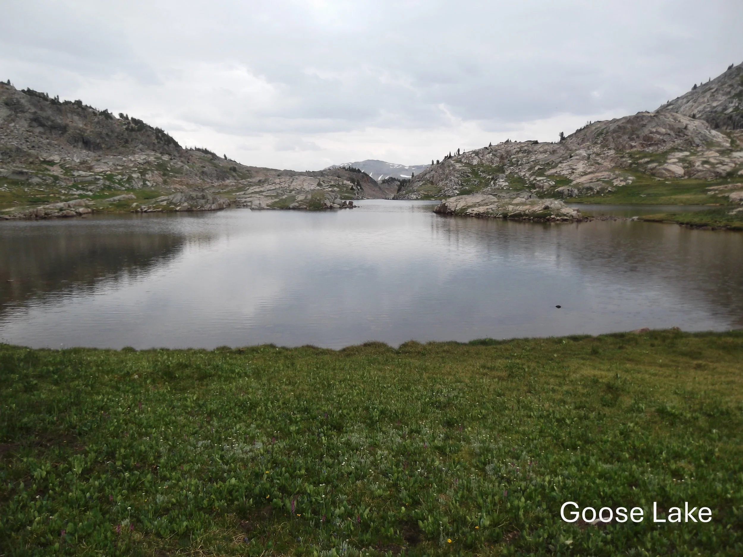 Mountain lake with grassy foreground, surrounded by rocky hills under cloudy sky.