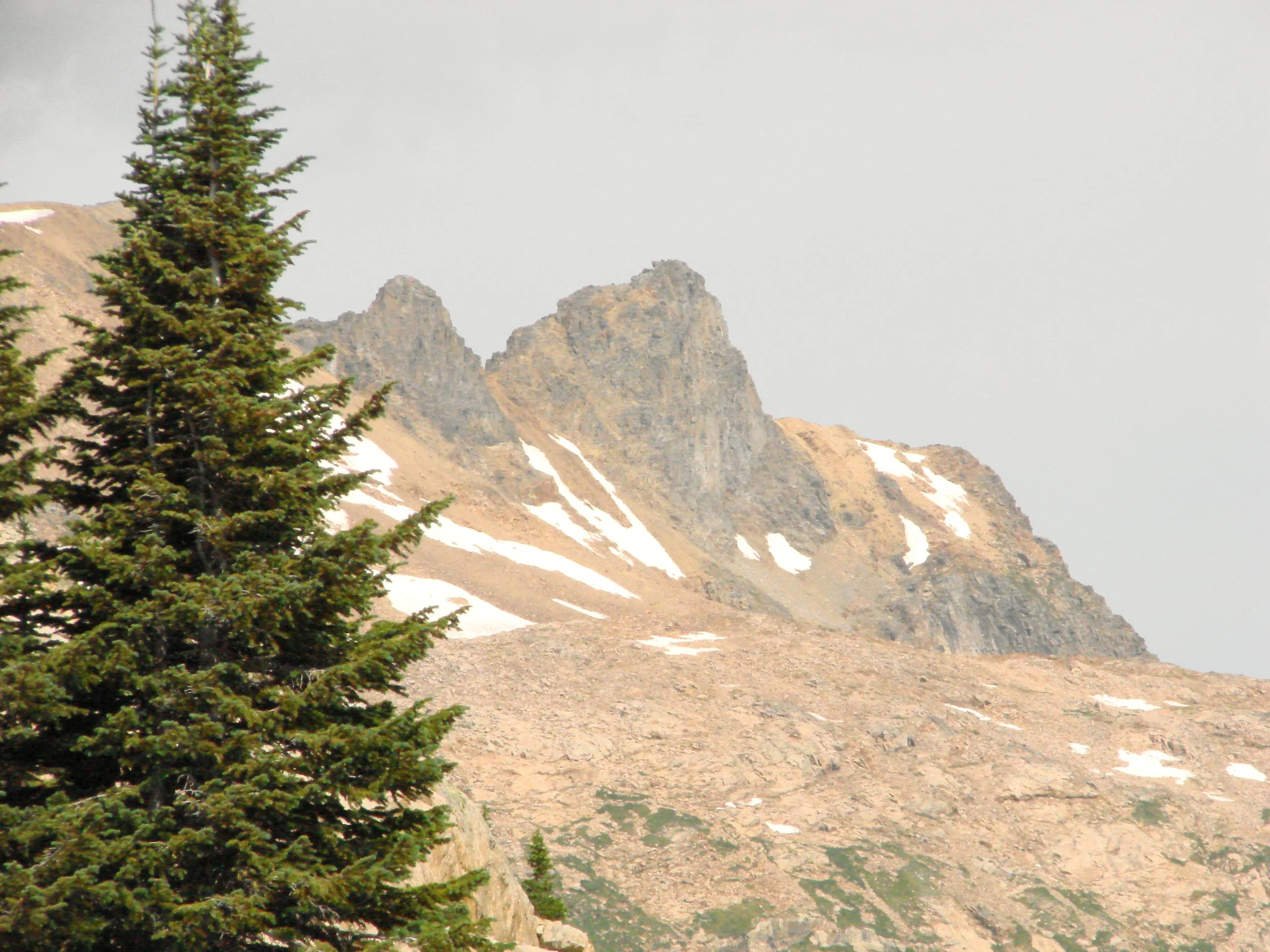 Mountain peaks with rocky terrain and patches of snow, foregrounded by evergreen trees.
