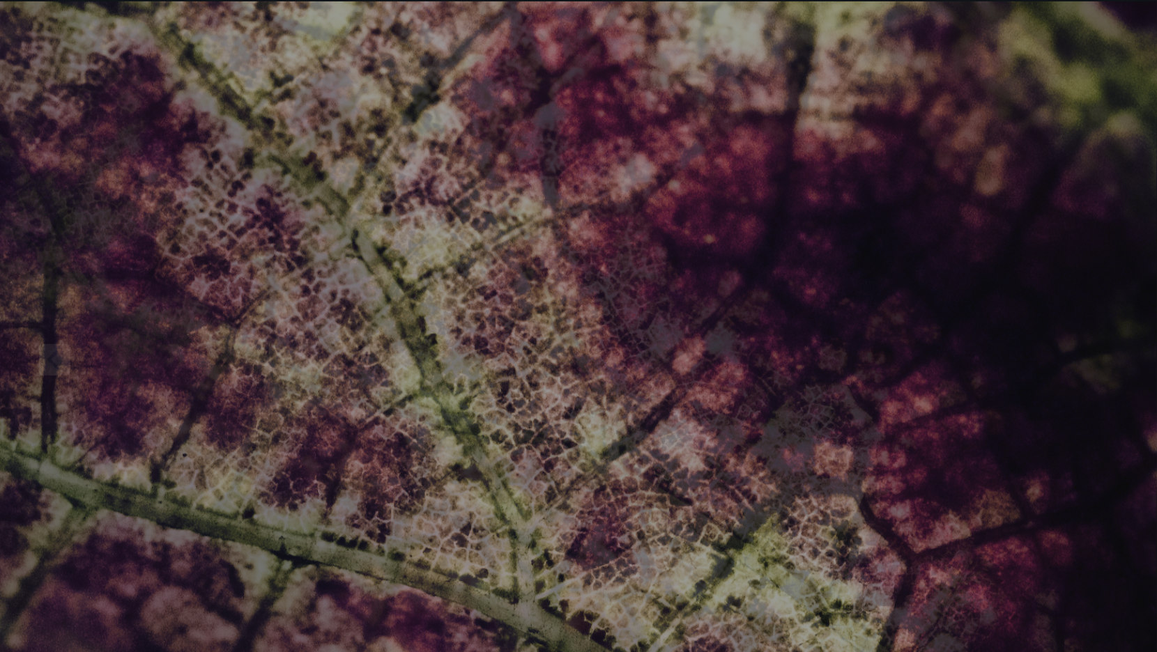 Screenshot 2025-04-26 at 00.30.23.png