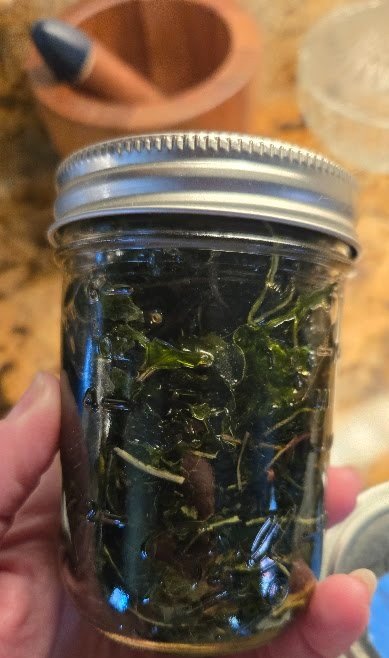 Dandelion Greens Infused Oil 