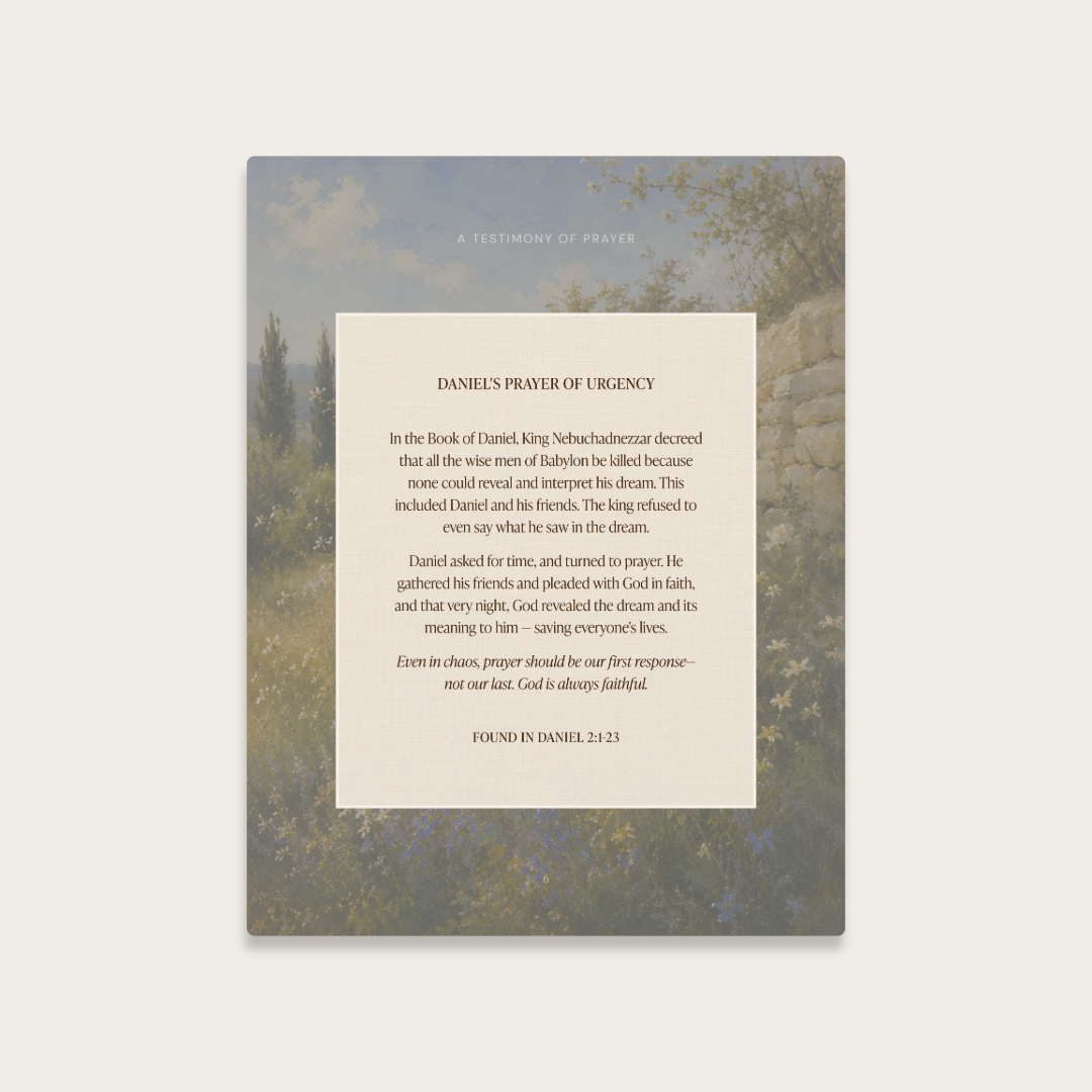 Untitled - January 27, 2025 at 23.15.49-13 (5).png