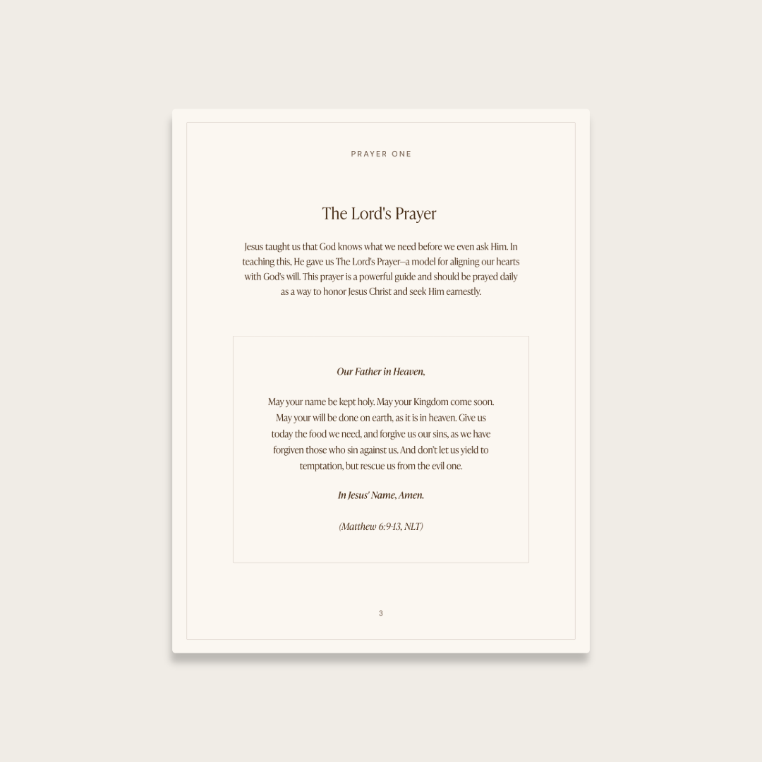 Untitled - January 27, 2025 at 23.15.49-13 (7).png