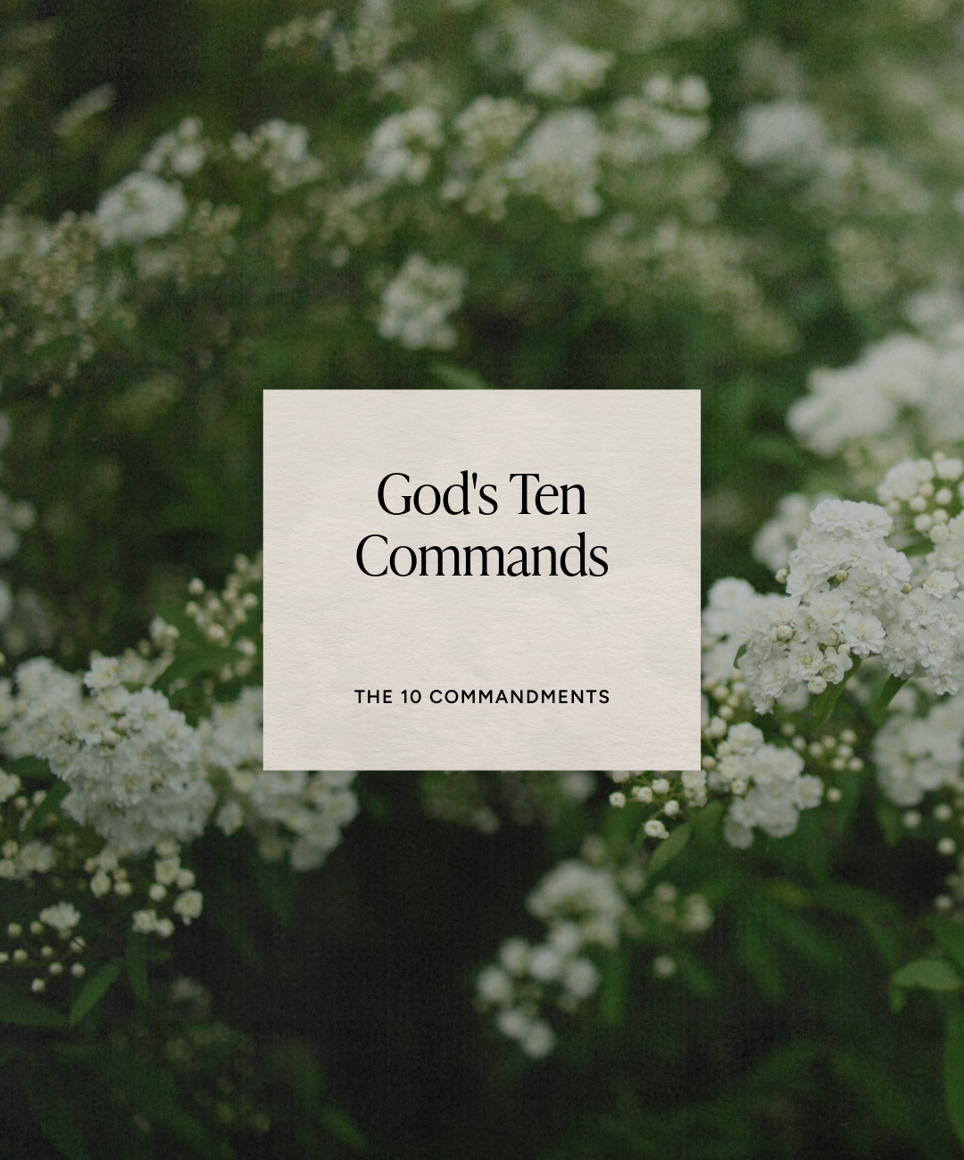 God’s Ten Commandments 