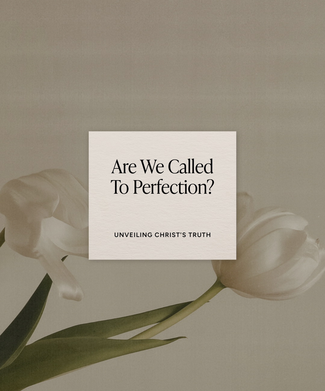 Does Jesus Call Us To Perfection?