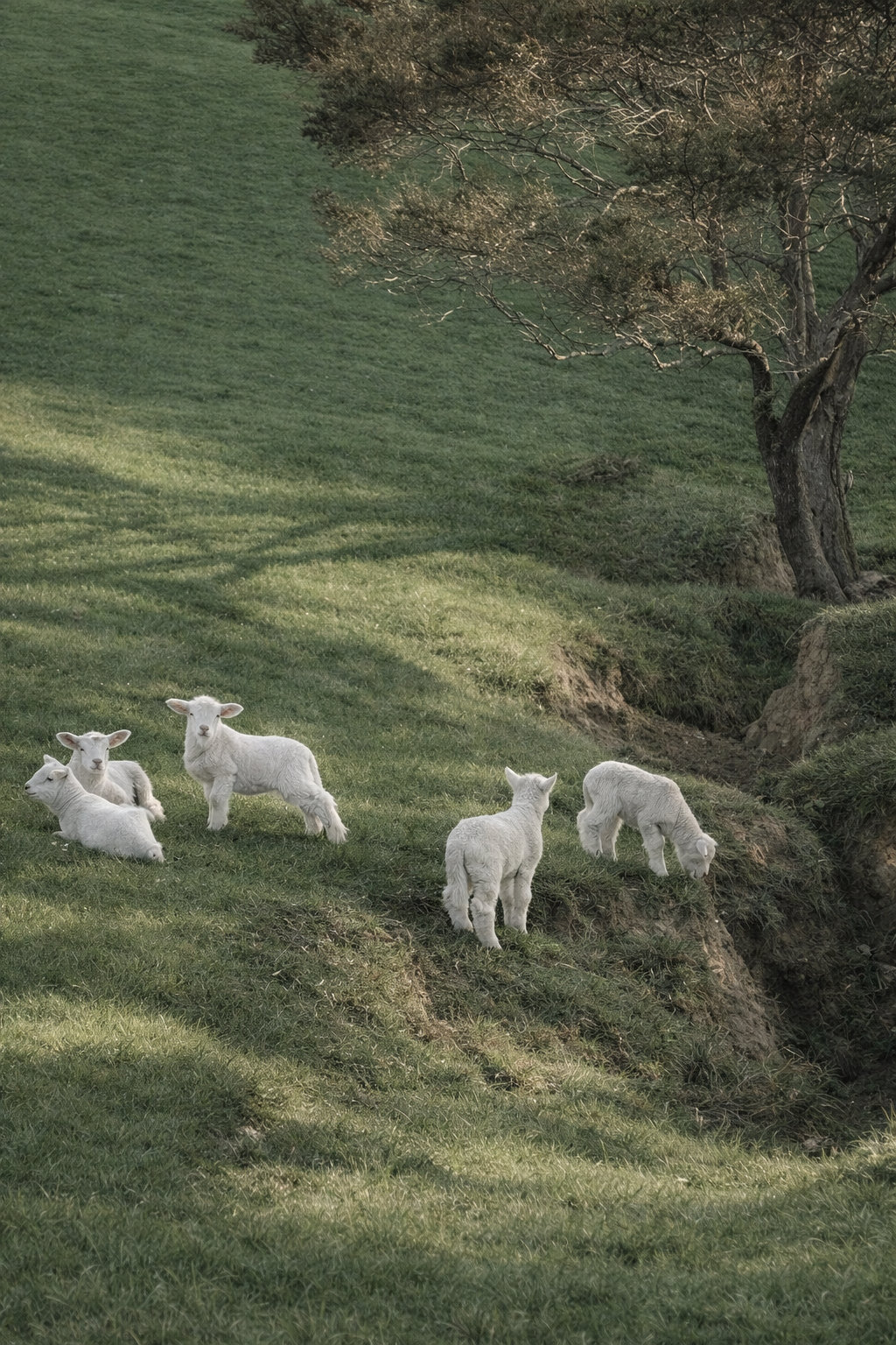 ChatGPT Image Mar 26, 2026, 11_45_19 PM.png