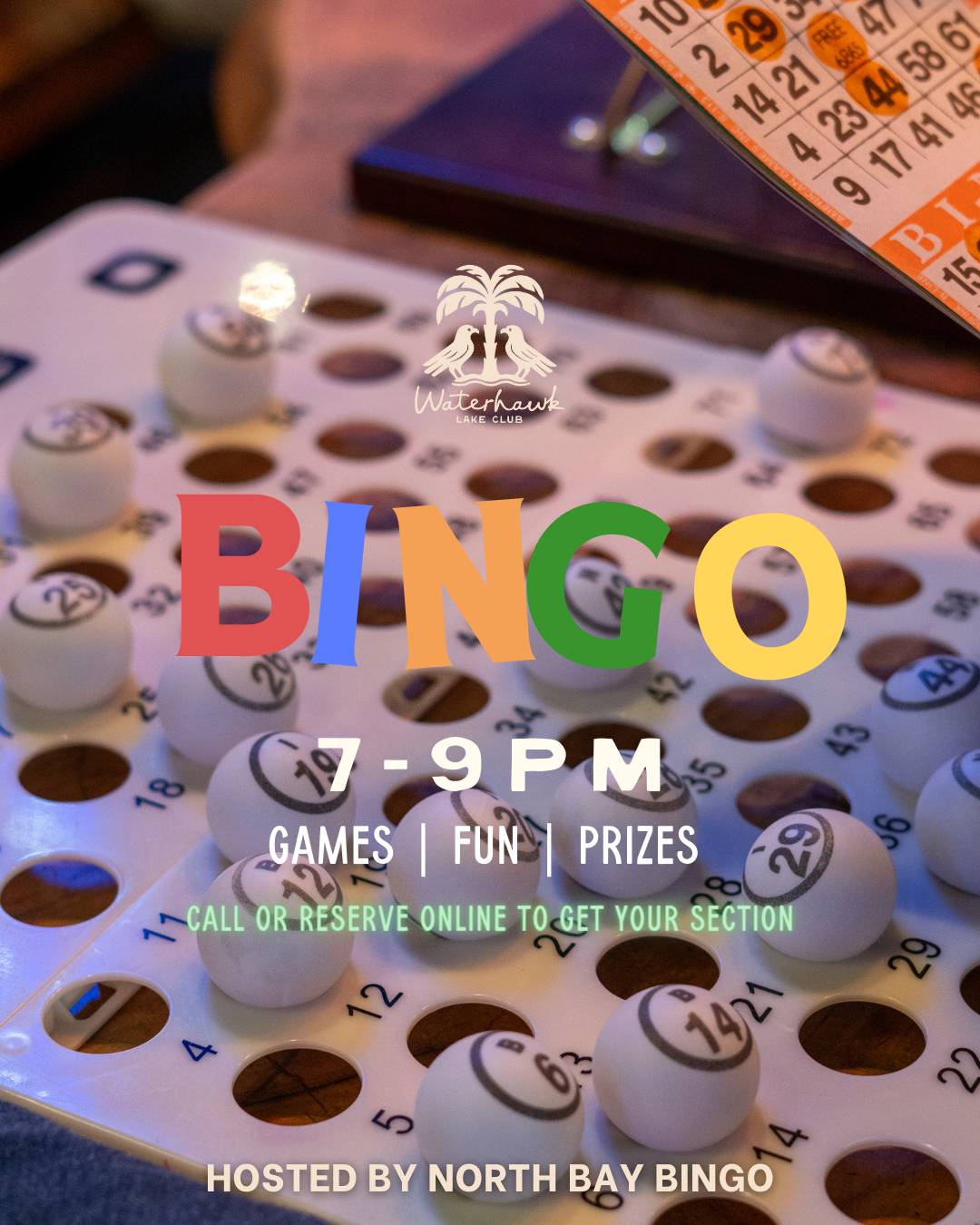 Bingo Night