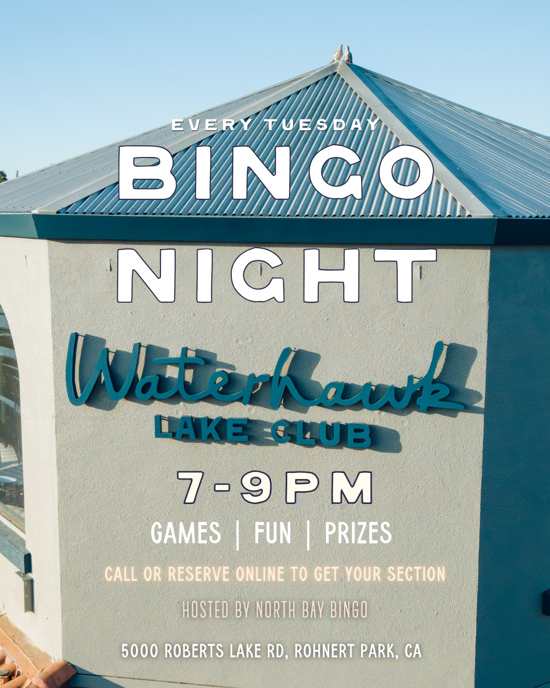 Bingo Night