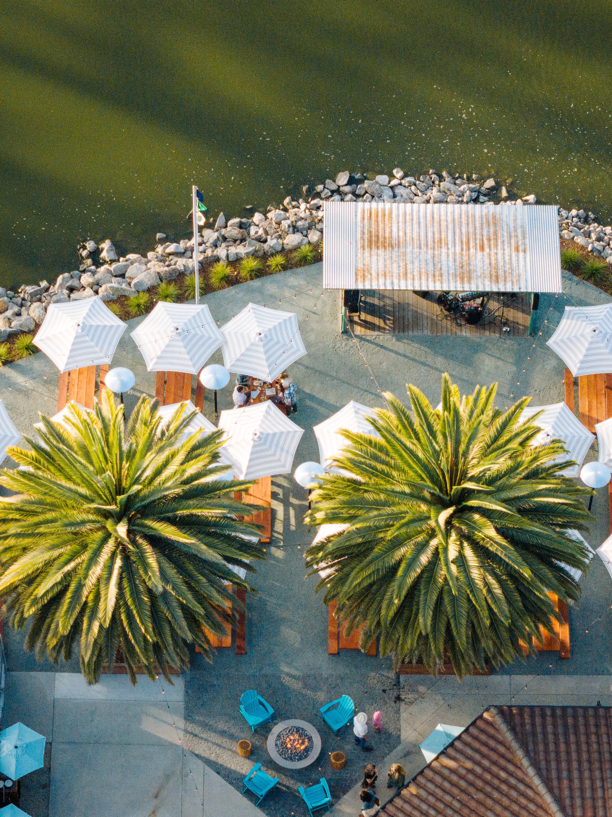 An aerial view of a backyard party area with two large palm trees, a fire pit surrounded by blue chairs, a covered stage, and umbrellas, next to a body of water with rocks along the shoreline.