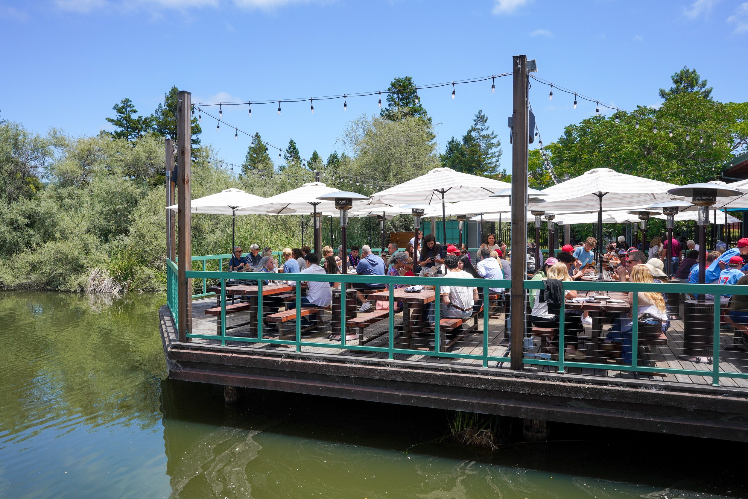 People dining outdoors on a patio with string lights, umbrellas, and a view of a pond with greenery.