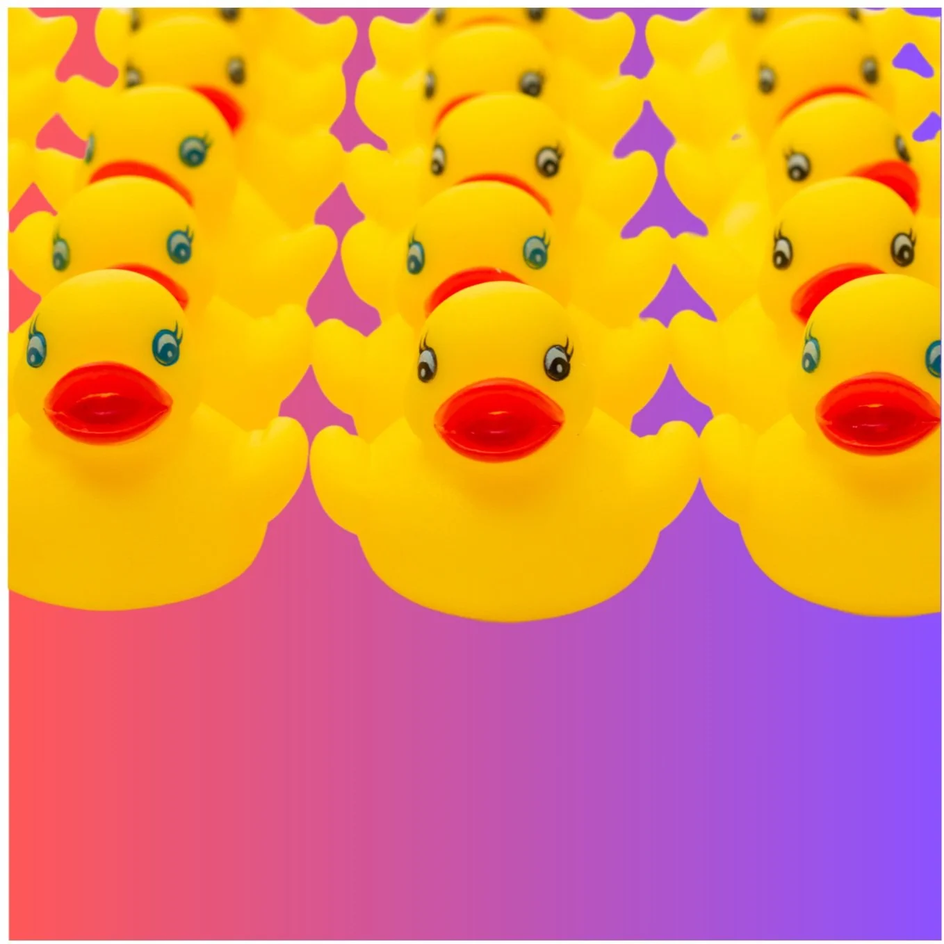 Rubber Ducks in a line