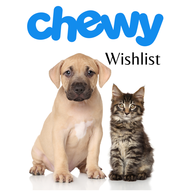A logo for Chewy with a puppy and a kitten sitting side by side, labeled as a wishlist.