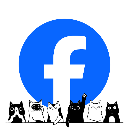 Find 9 lives Cat Rescue on Facebook