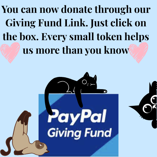 A graphic promoting donations through PayPal Giving Fund, featuring a black cat sleeping on a blue box, a brown and white dog laying down, and the face of a black cat with glasses. Text encourages donations via a link, mentioning small tokens help more than expected, with pink hearts.