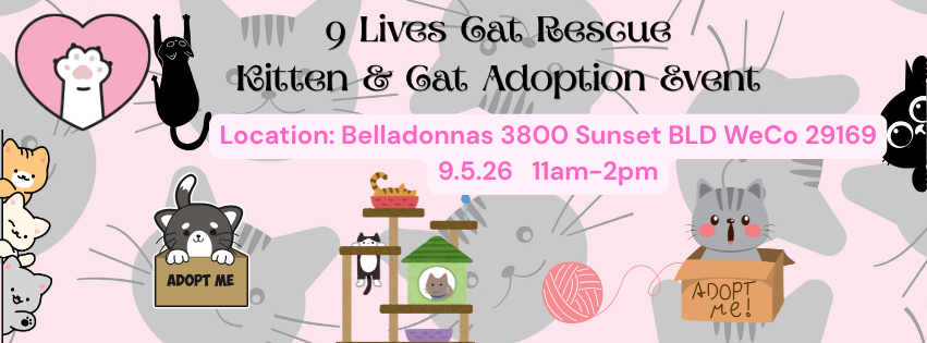 Flyer for 9 Lives Cat Rescue kitten and cat adoption event at Belladonnas, Sunset Blvd WeCo, on September 5, 2026, from 11 a.m. to 2 p.m. with illustrations of cats, a yarn ball, and adoption signs.