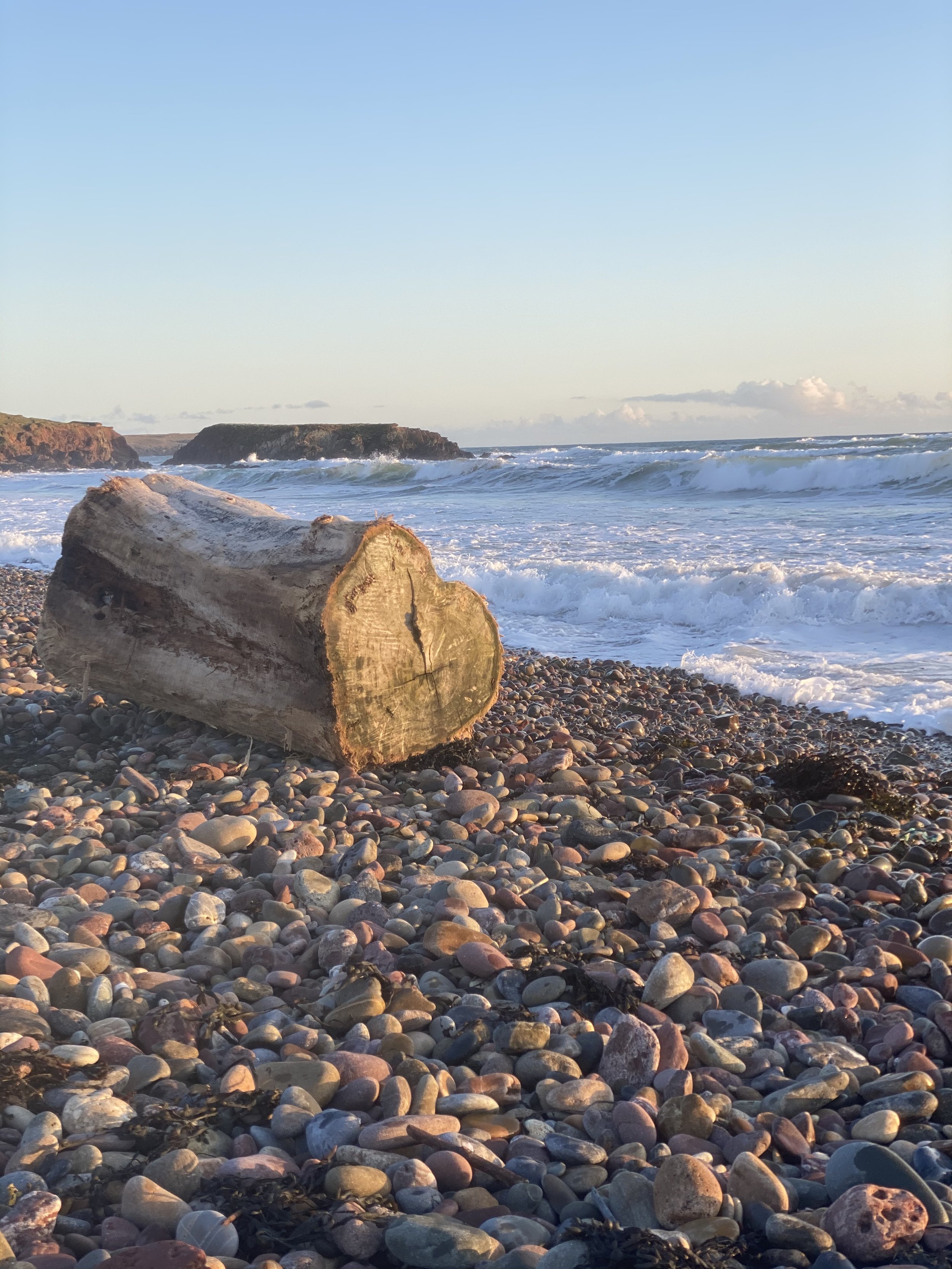 Leading Like Nature: The Power of Integral Leadership