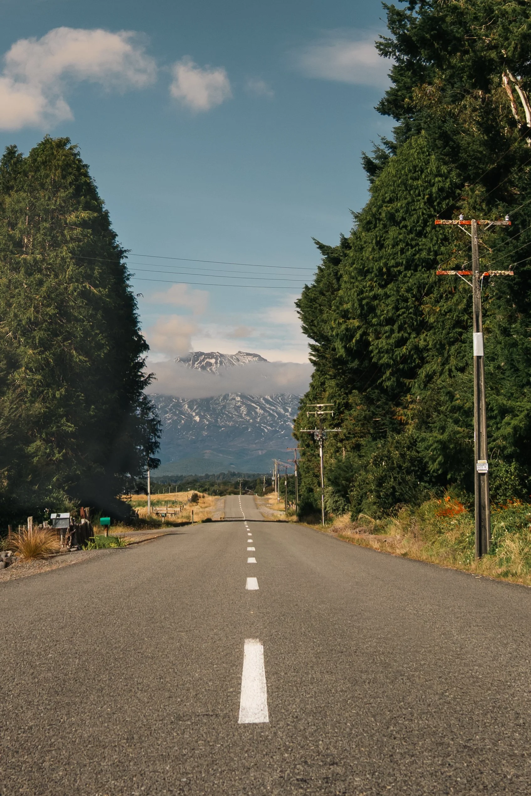 On the road to Tongariro.jpg