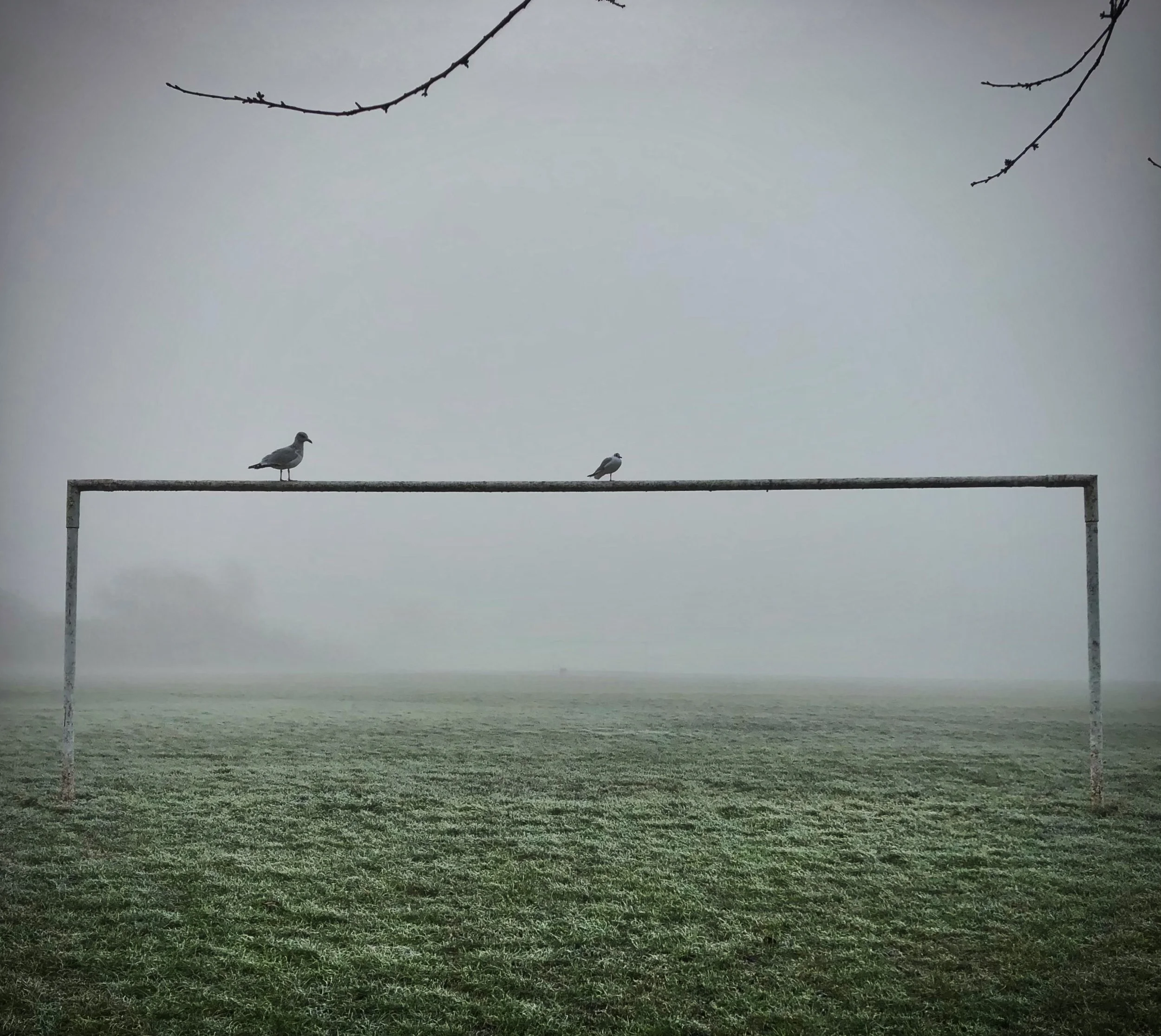 Football Posts web.jpeg