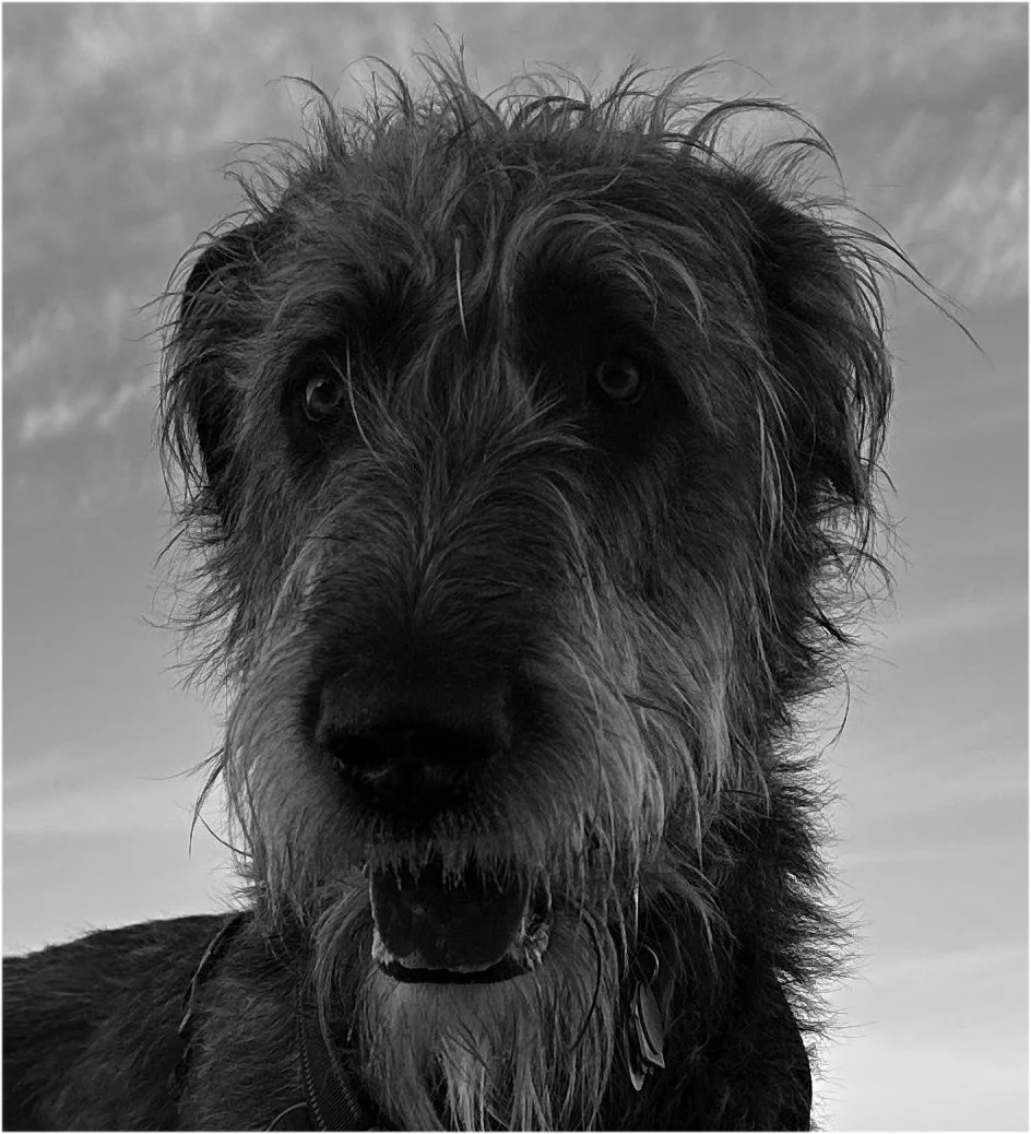 Balthaczar_BW_new.jpg