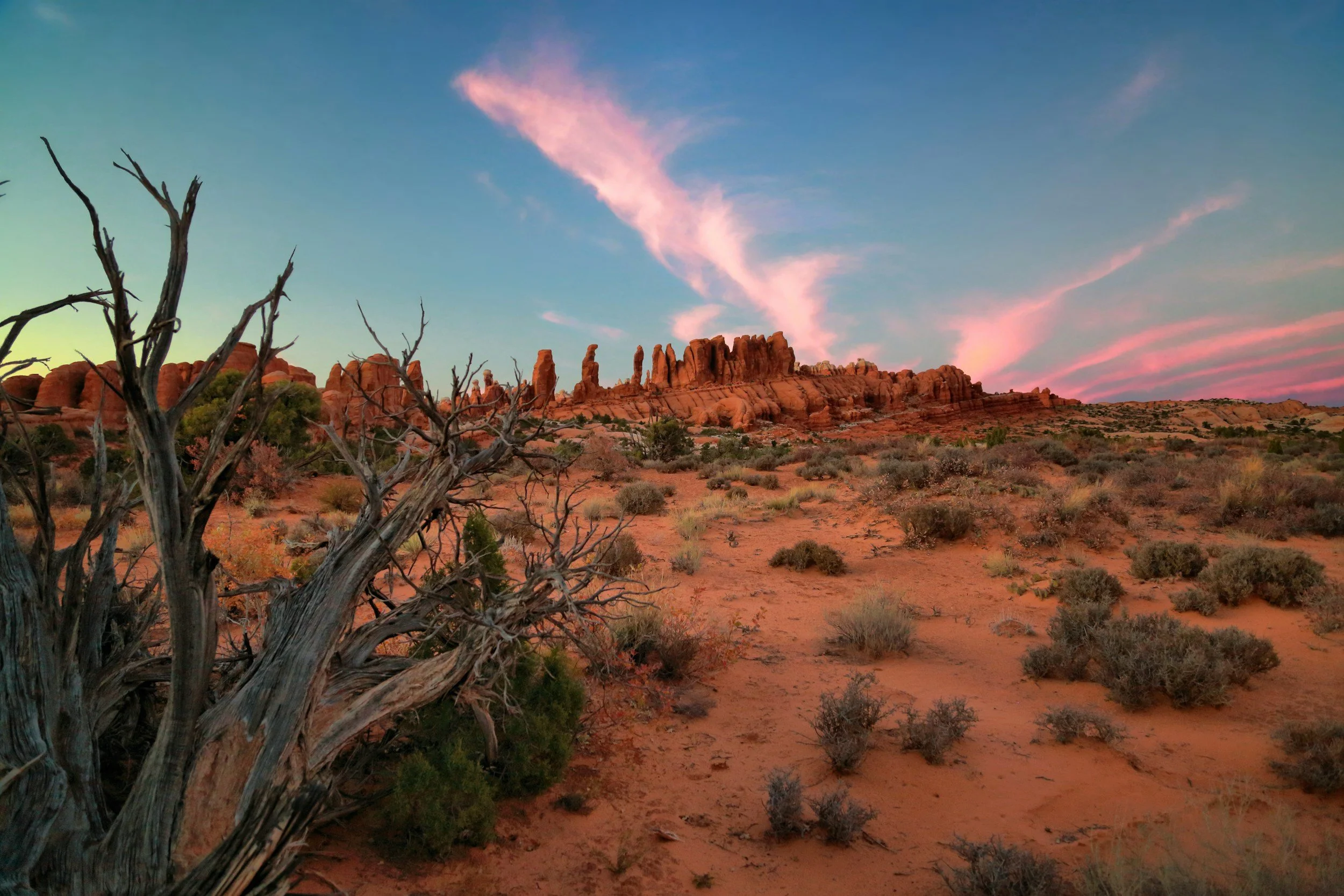 Desert landscape with red rock formations, dry shrubbery, and a twisted, leafless tree in the foreground under a colorful sunset sky with pink and blue clouds.