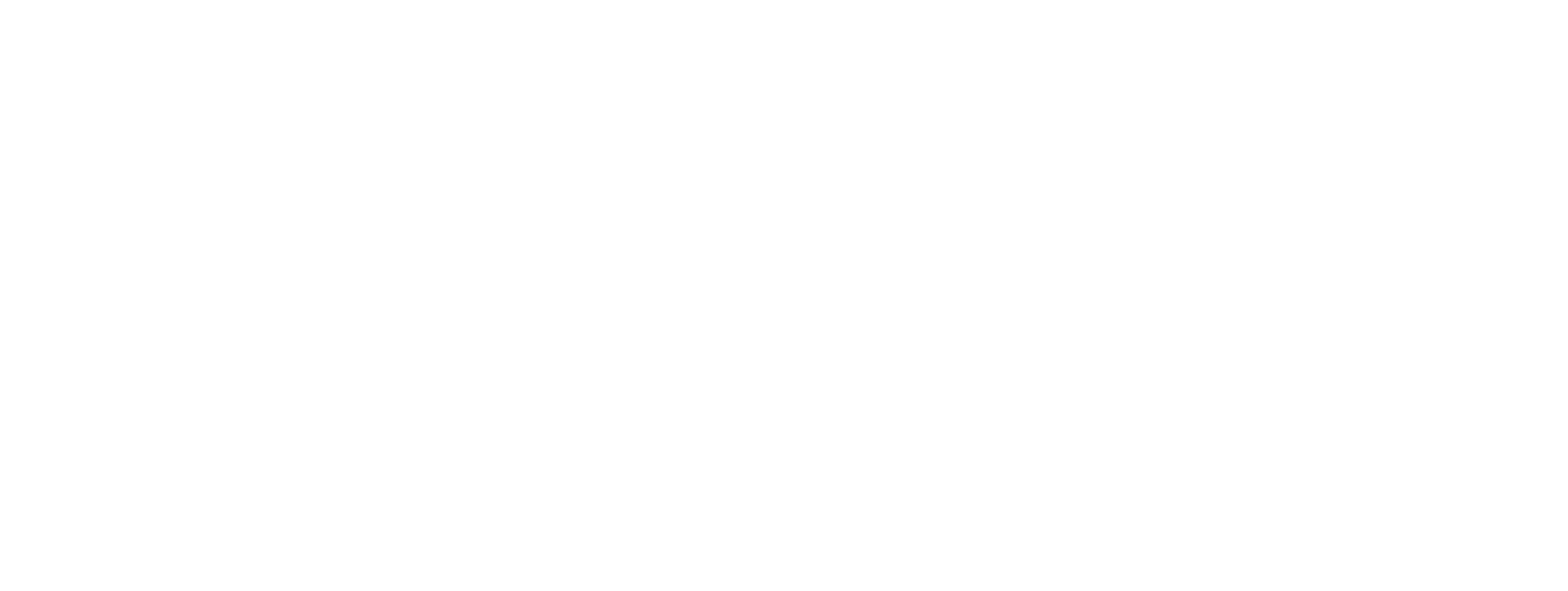 Visual Domain logo