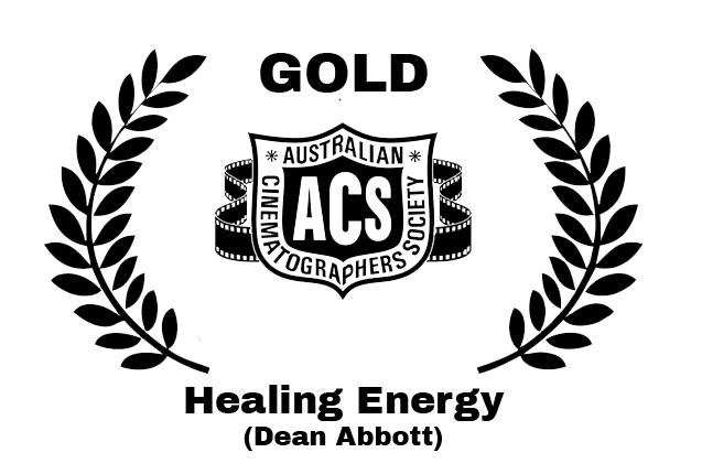 Logo of the Australian Cinematographers Society featuring a shield with "ACS" and a banner, surrounded by laurel branches.