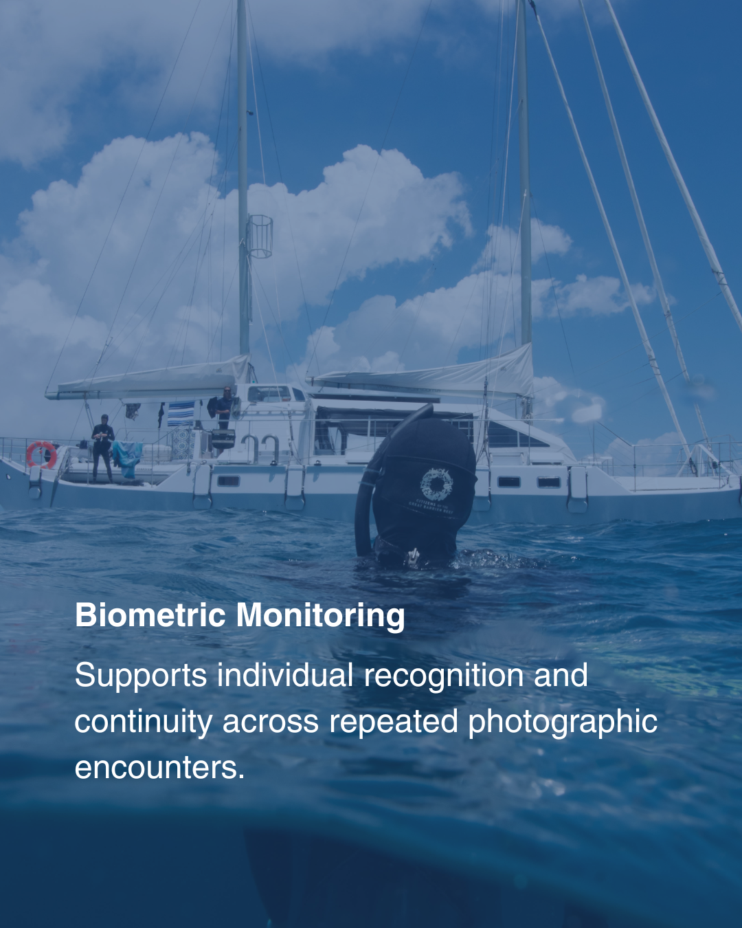 Shark Search biometric monitoring