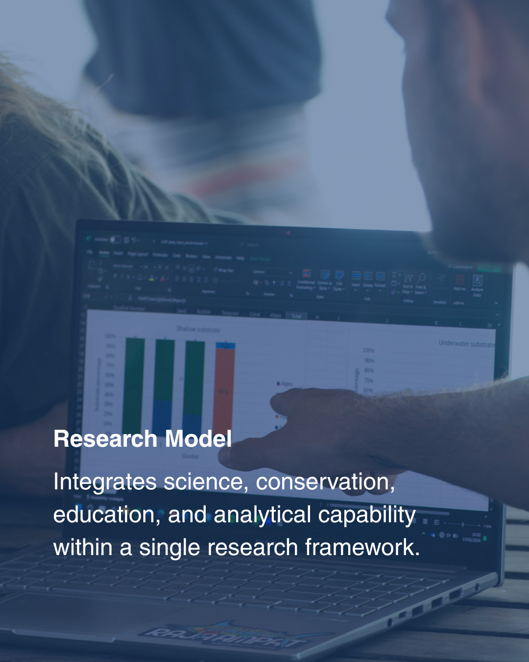 Shark Search research model