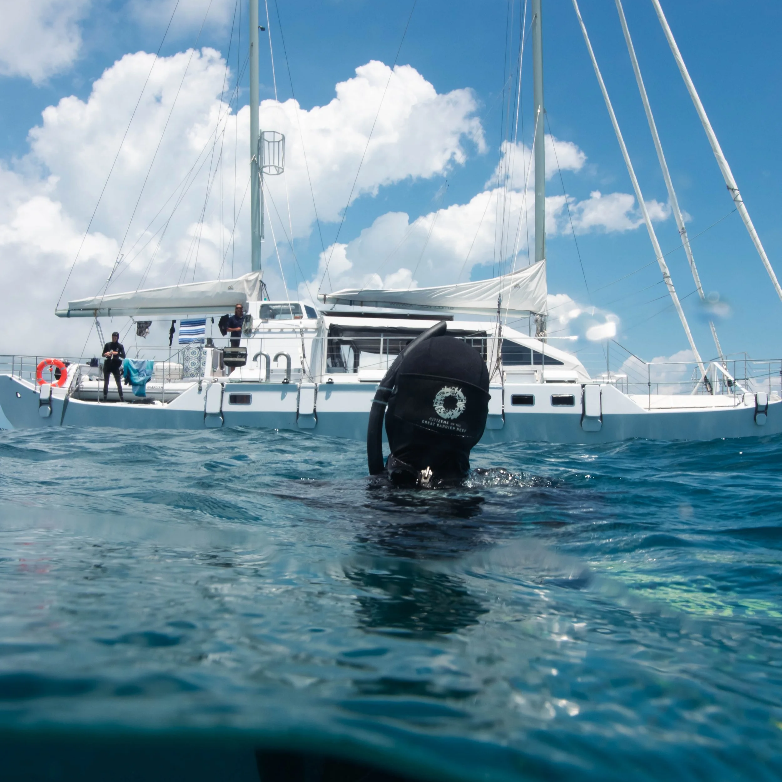 Shark Search field team conducting photographic monitoring