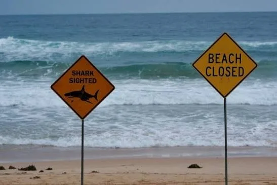 Beach closure and shark sighting warning signs