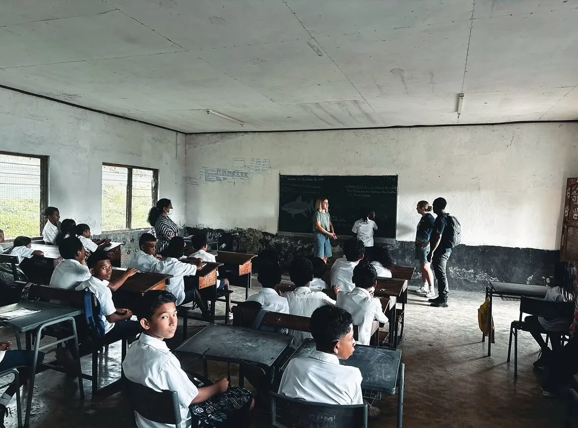 Shark Search education programme