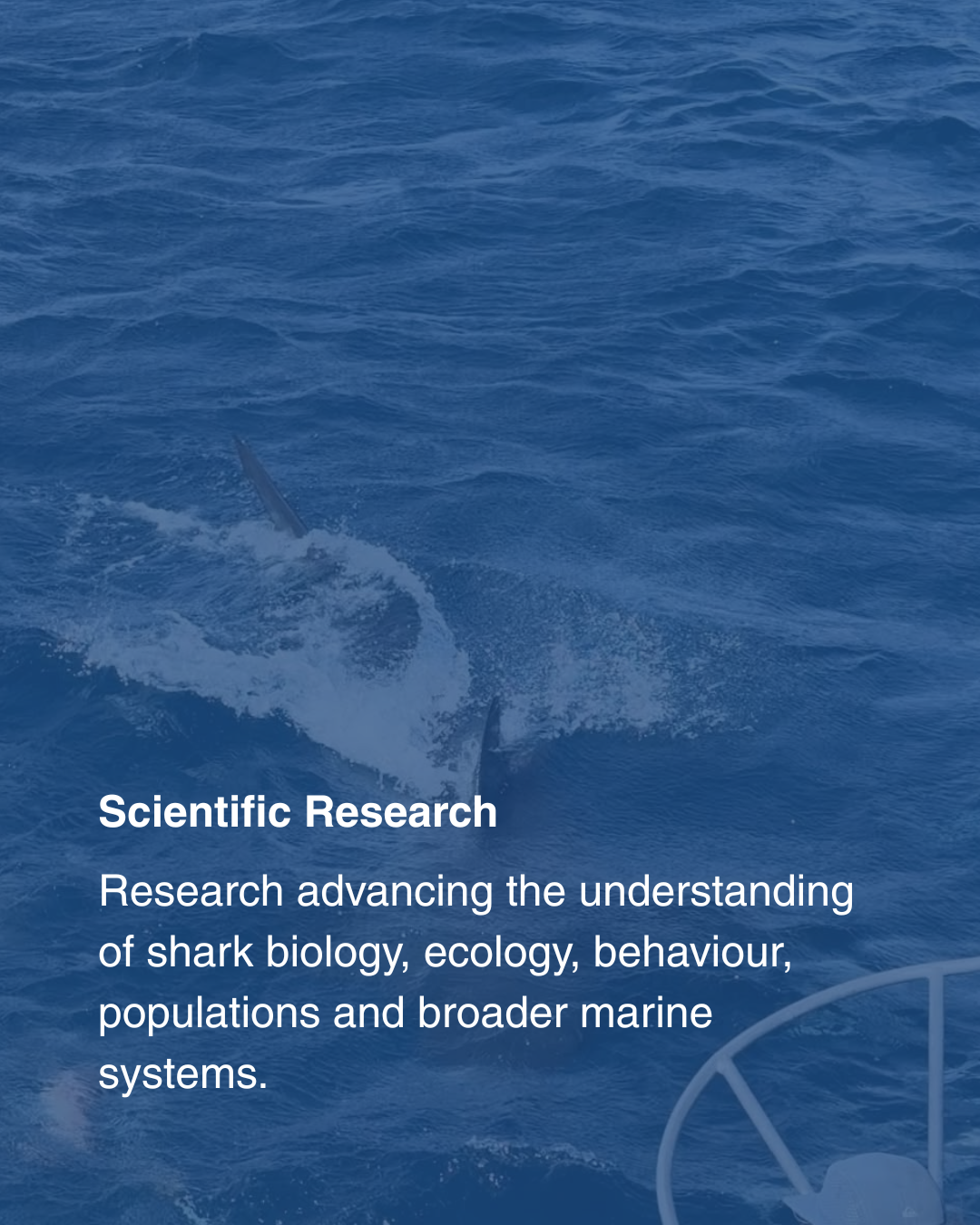 Scientific Research