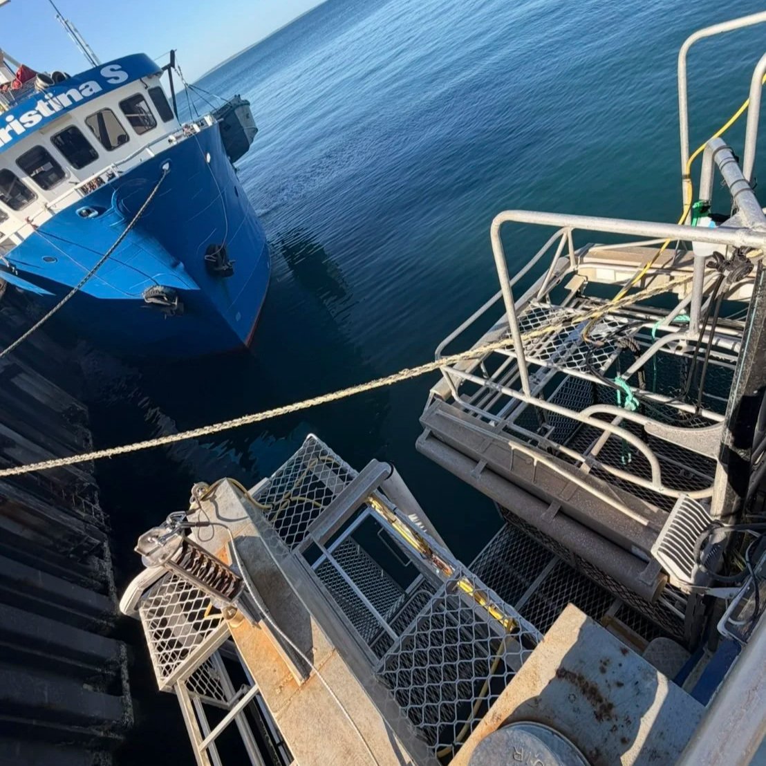 Field research equipment used during shark monitoring