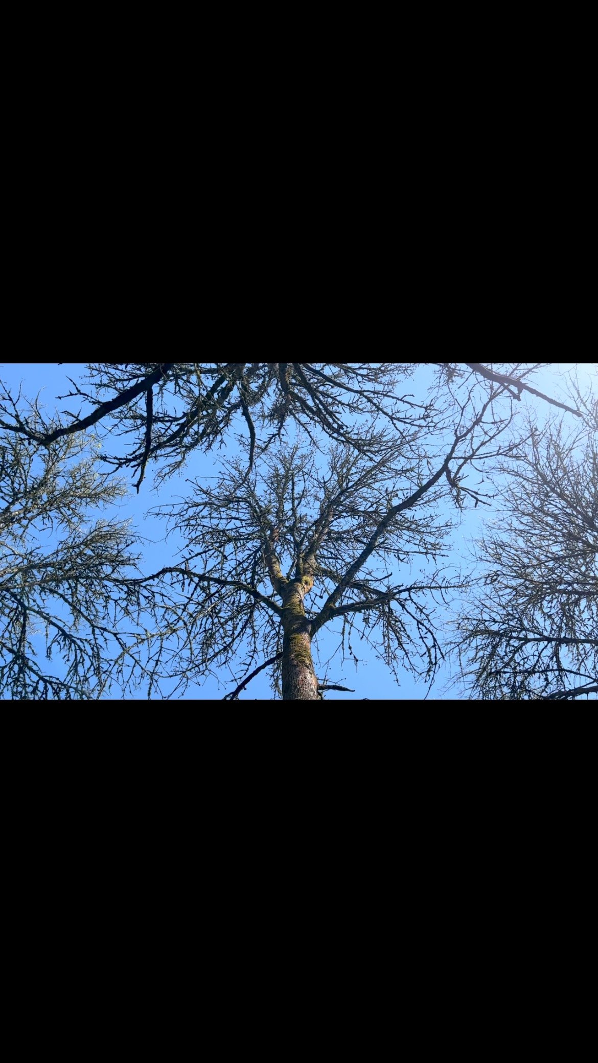 Take the time to watch the trees sway… preferably from a hammock.
