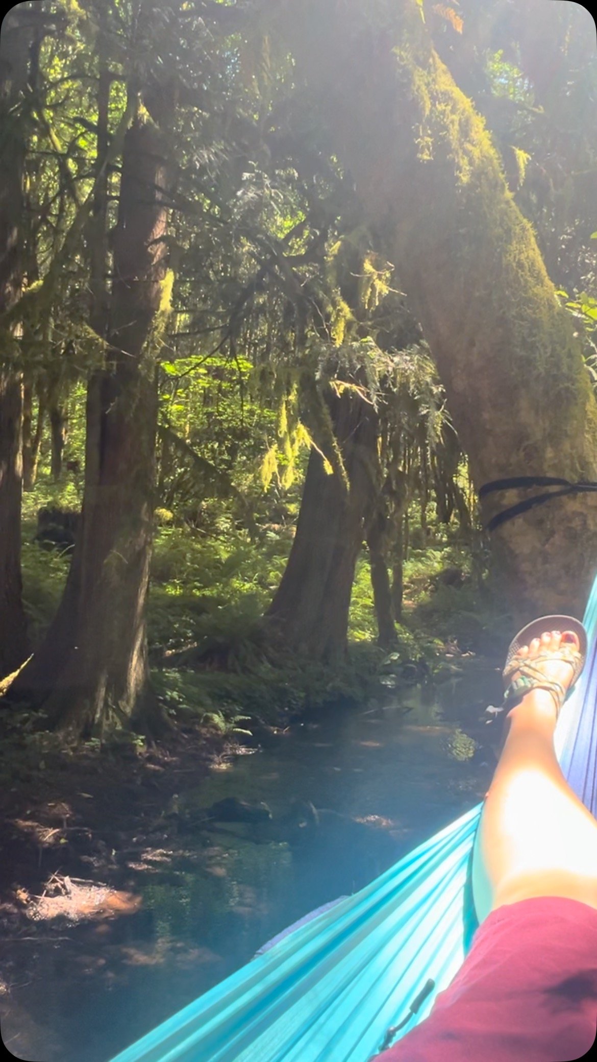 Welcome to my office…πΏ
If you’re in the Portland, Oregon area and want your therapy to look, sound, and feel like this, let’s connect.π²πͺΆ
#naturebasedtherapy #ecotherapy #hammocktherapy #ecotherapist #therapyoutside #outsideever